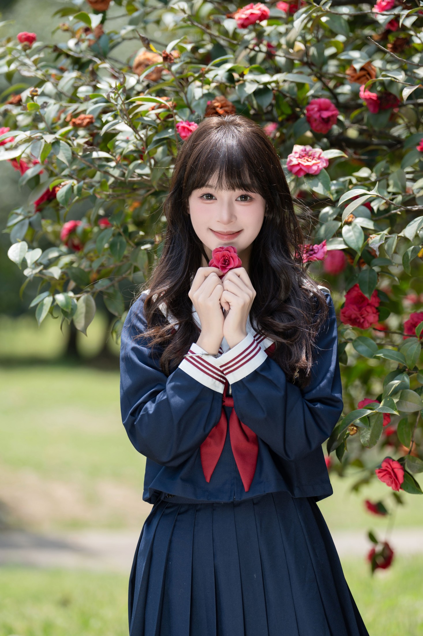 夏芋小年 – 《山茶花的花语是》[25P]-66COS