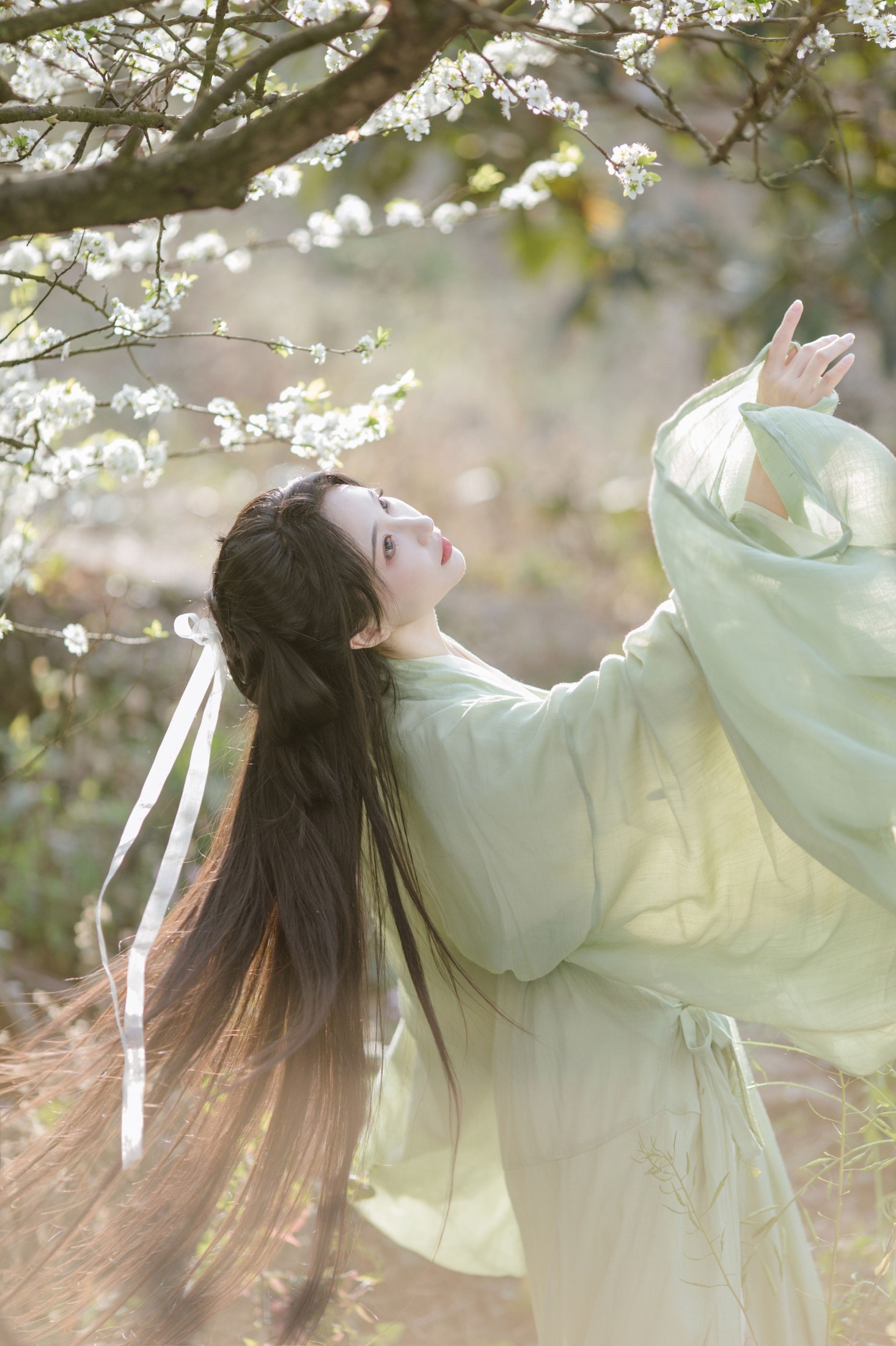 绮罗生的小苏苏 – 《杏花吹满头》[18P] 插图4