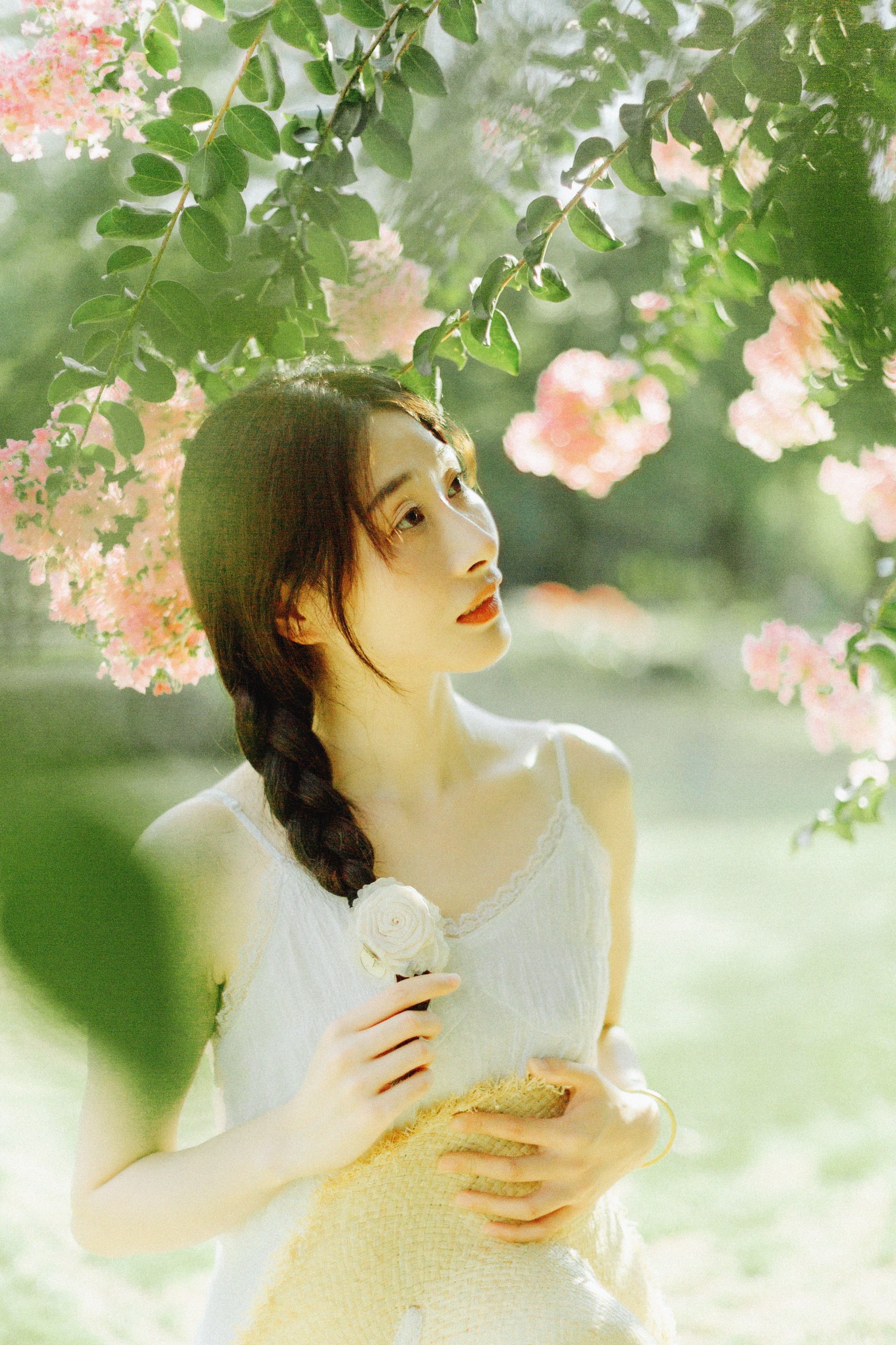 十二* – 《紫藤花开》[48P] 插图5