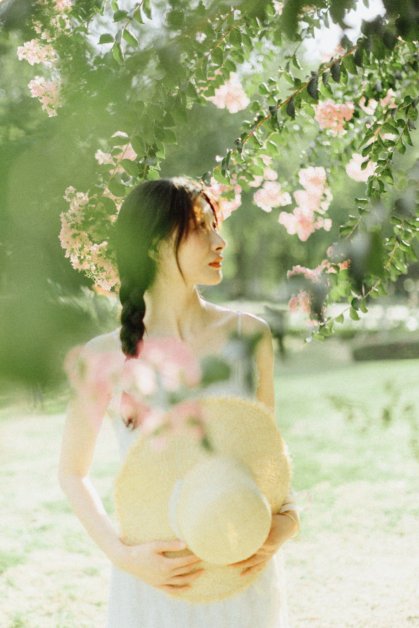 十二* – 《紫藤花开》[48P] 插图3