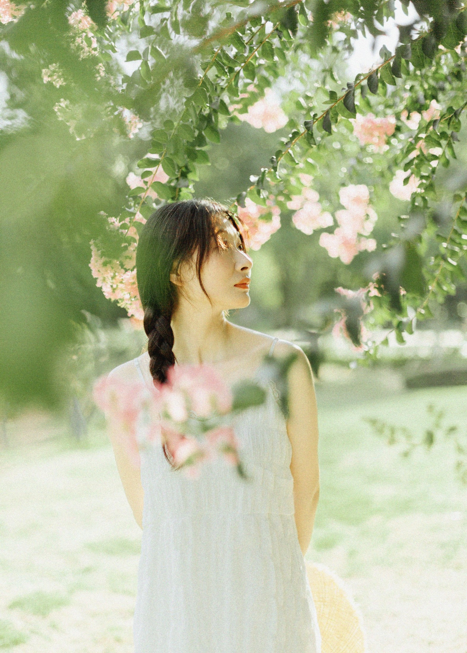 十二* – 《紫藤花开》[48P] 插图2