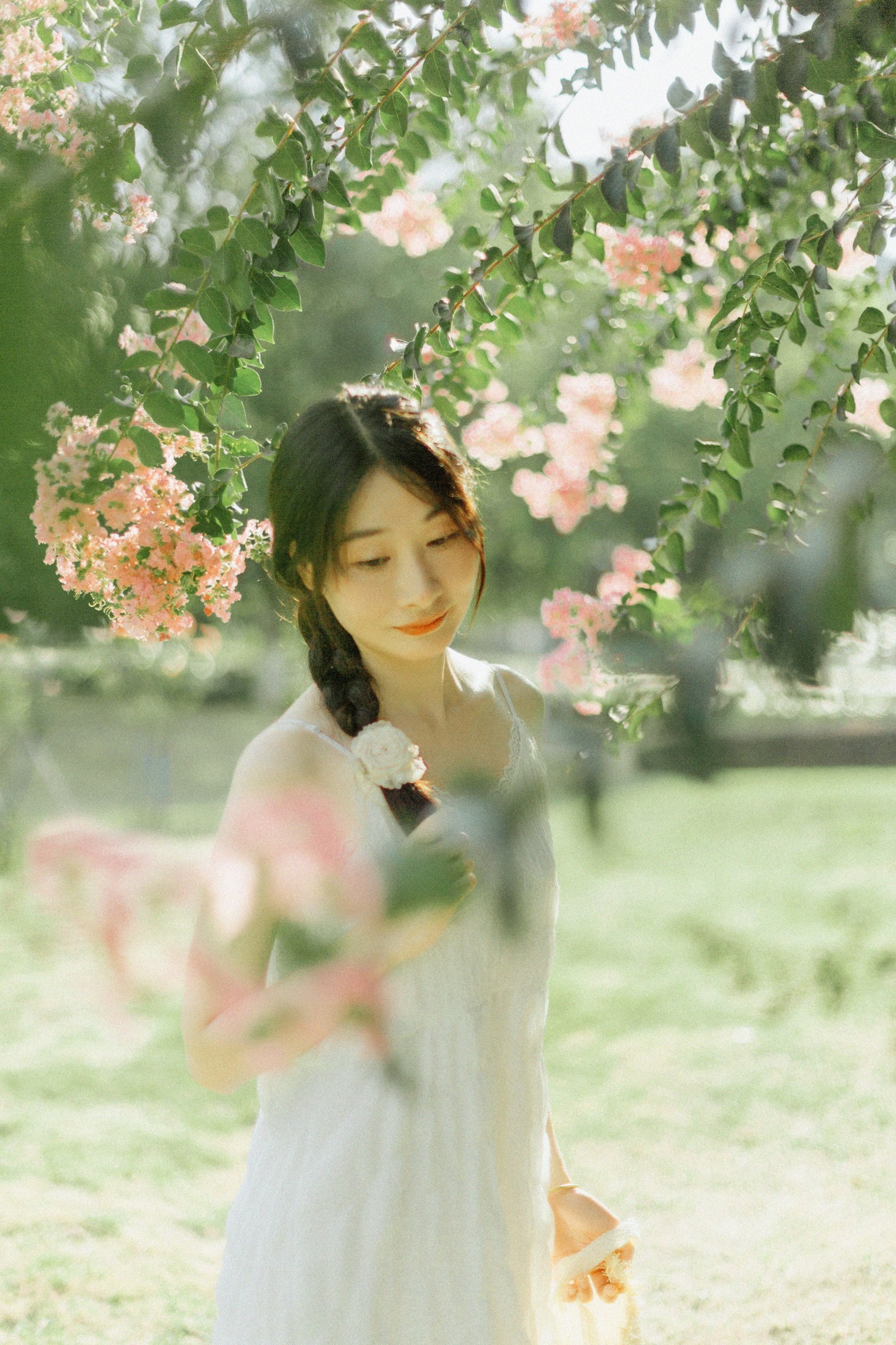 十二* – 《紫藤花开》[48P] 插图4