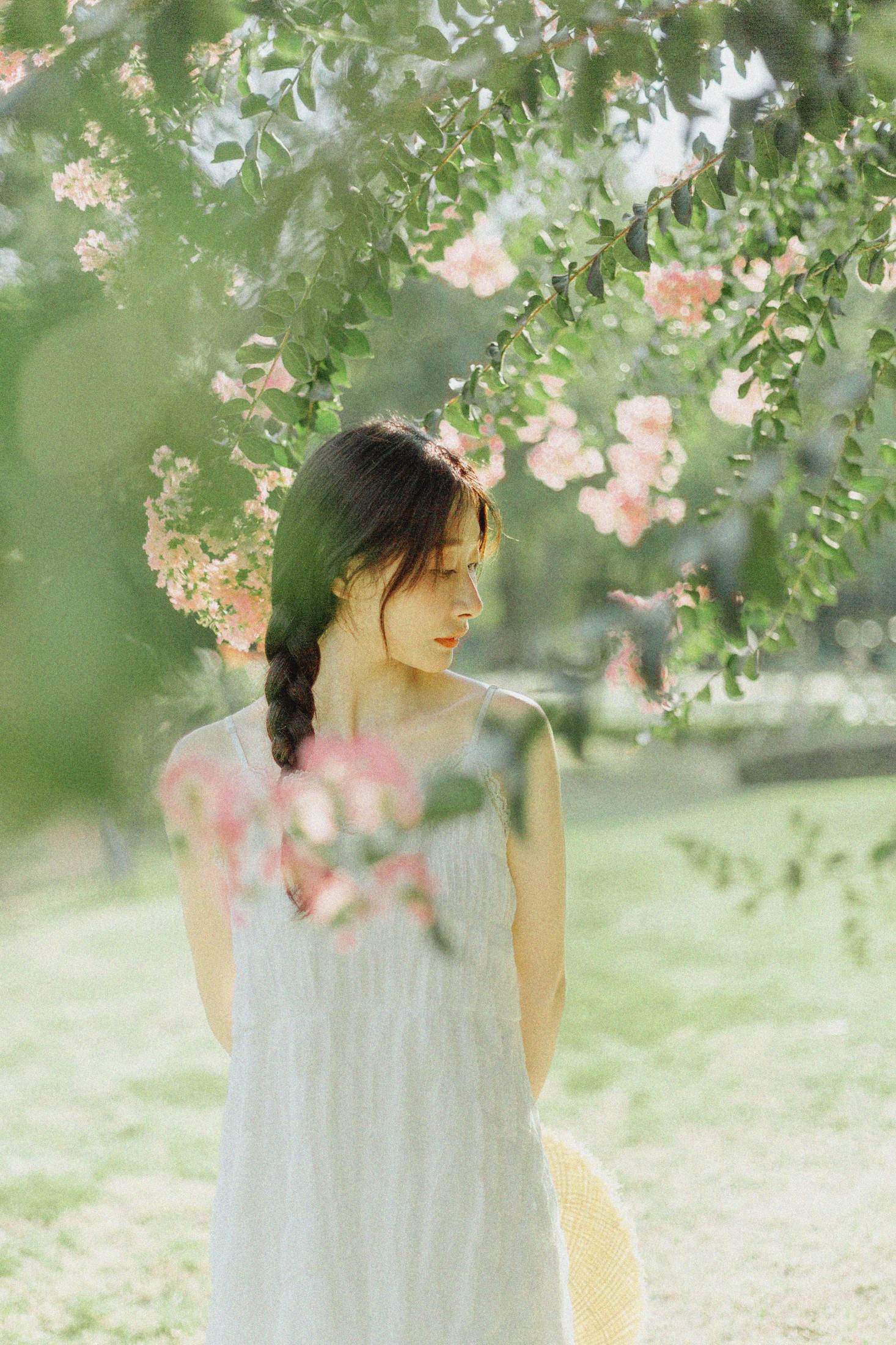 十二* – 《紫藤花开》[48P]-66COS