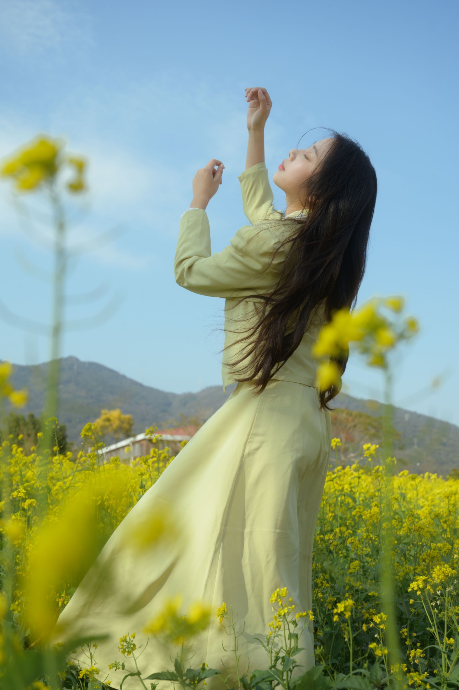 小早奈奈 – 《盛开的春天》[39P]-66COS