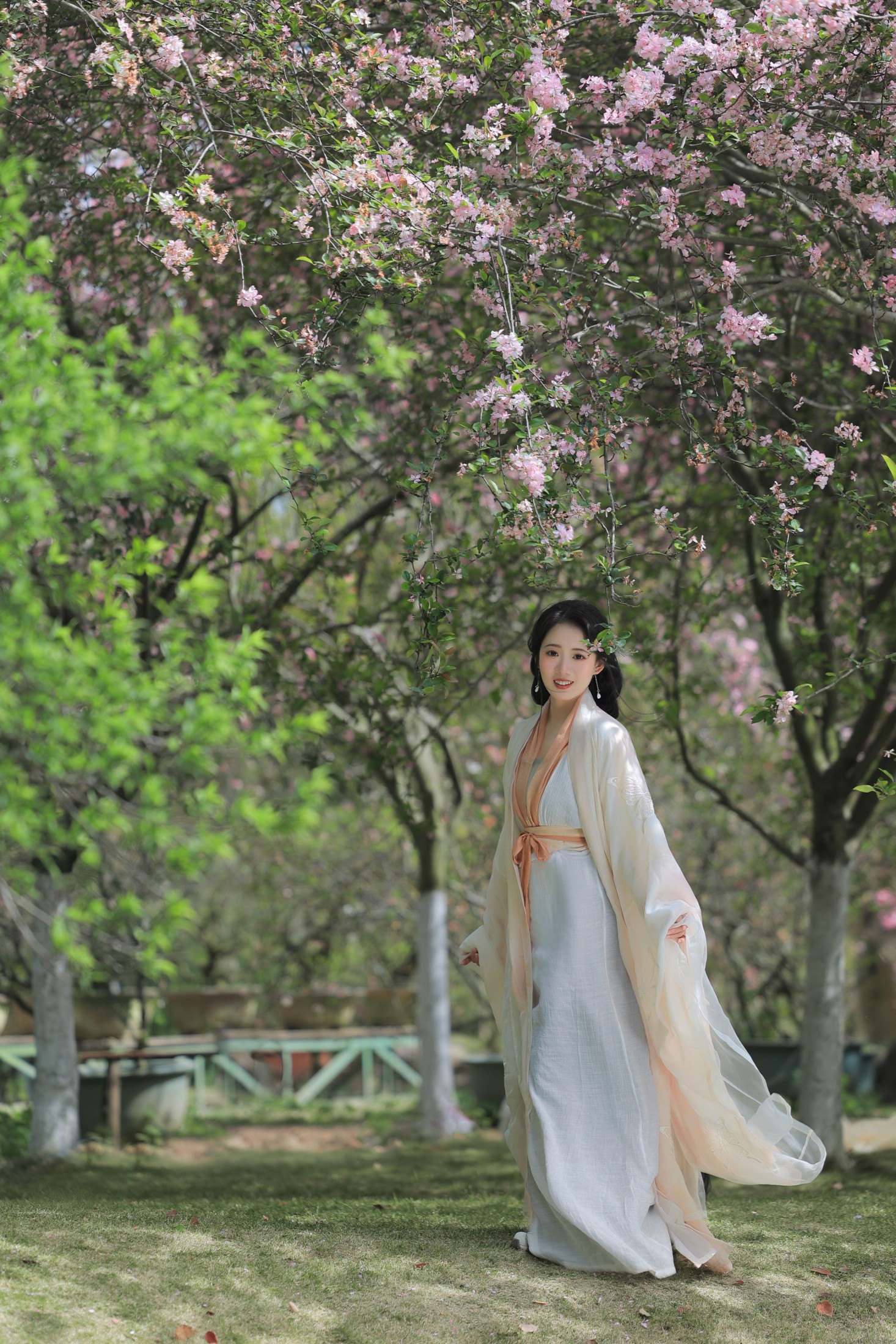 铁铁 – 《春之樱》[18P] 插图4