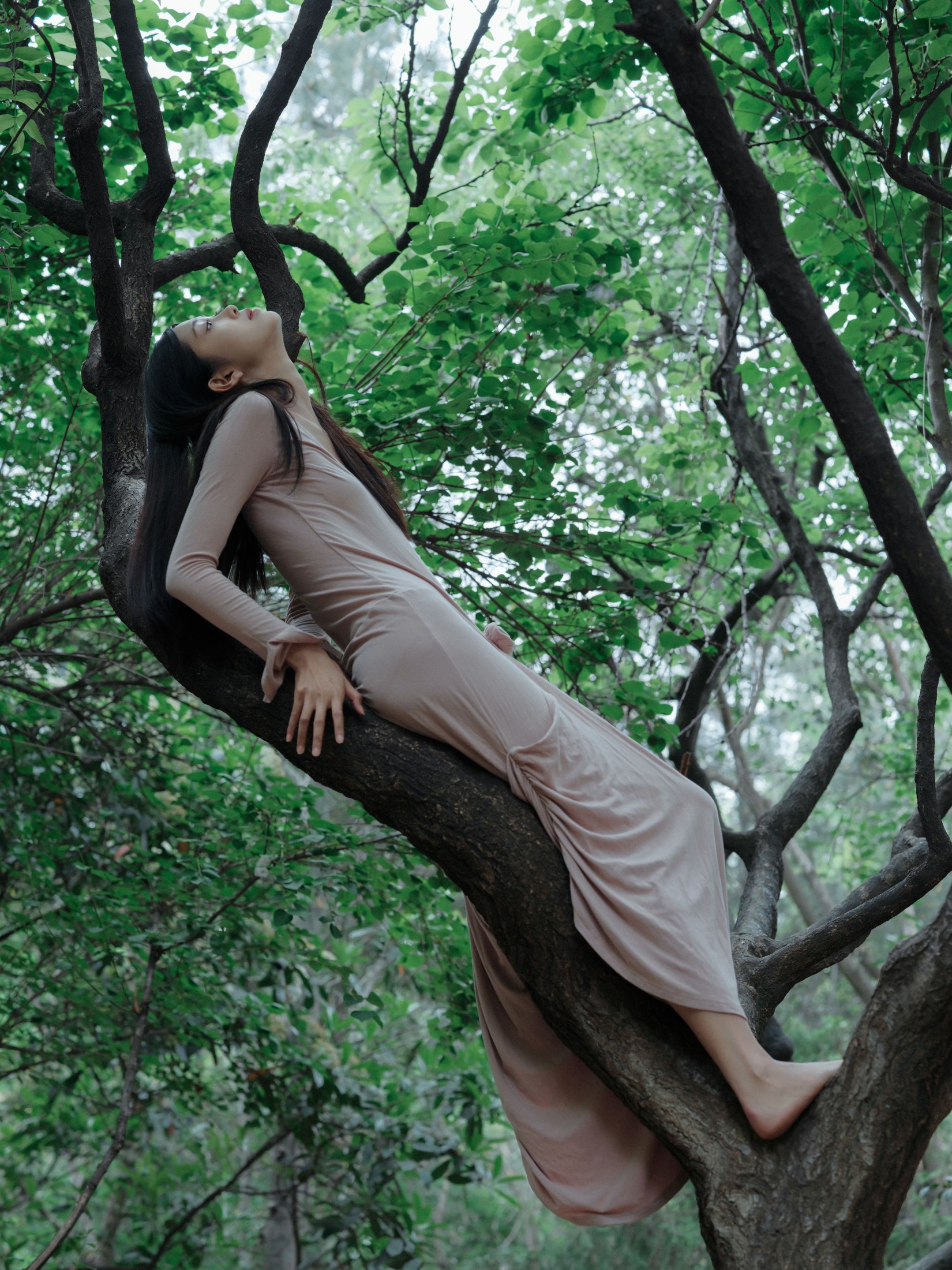 钰清风 – 《葳蕤》[24P] 插图3