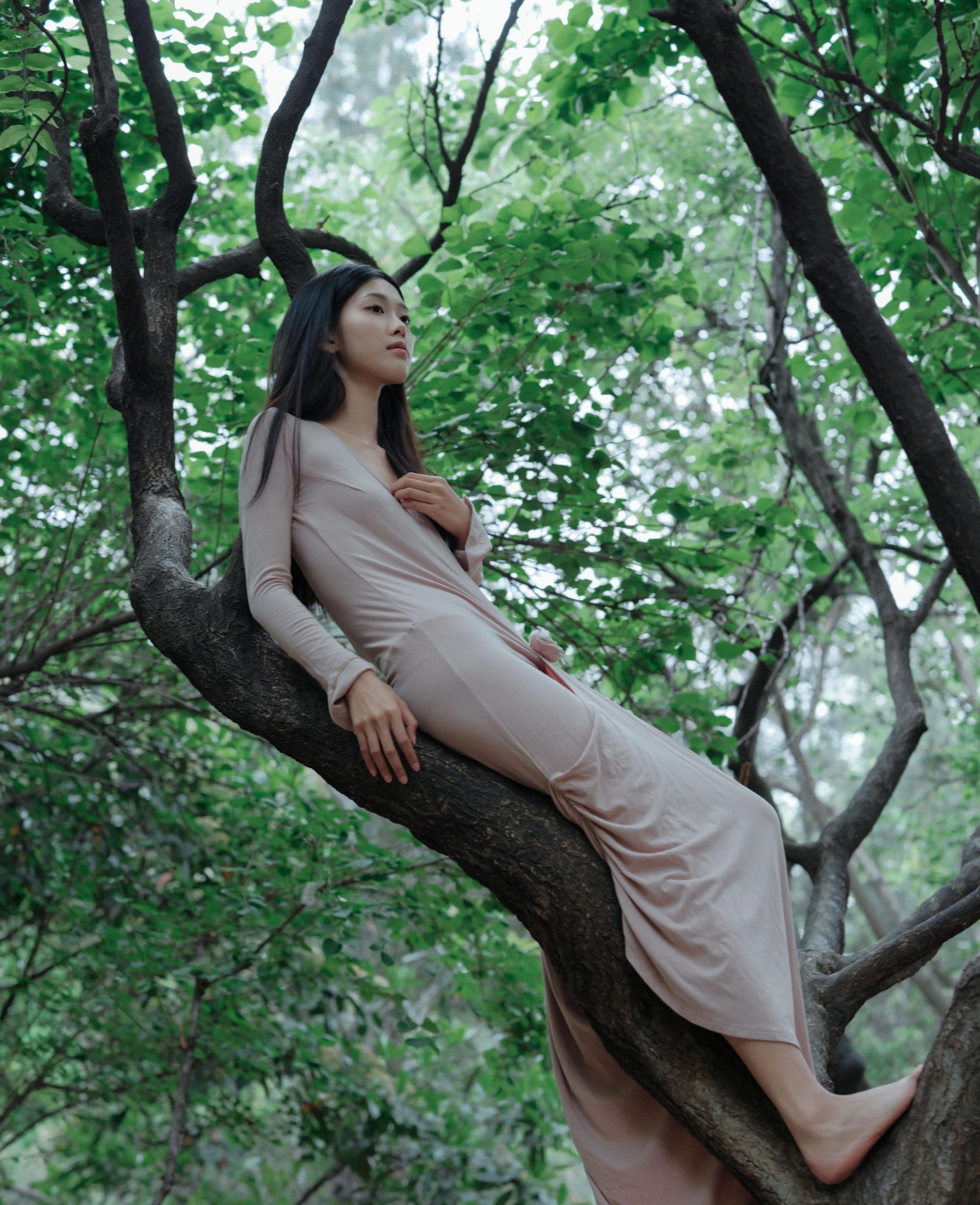 钰清风 – 《葳蕤》[24P] 插图2