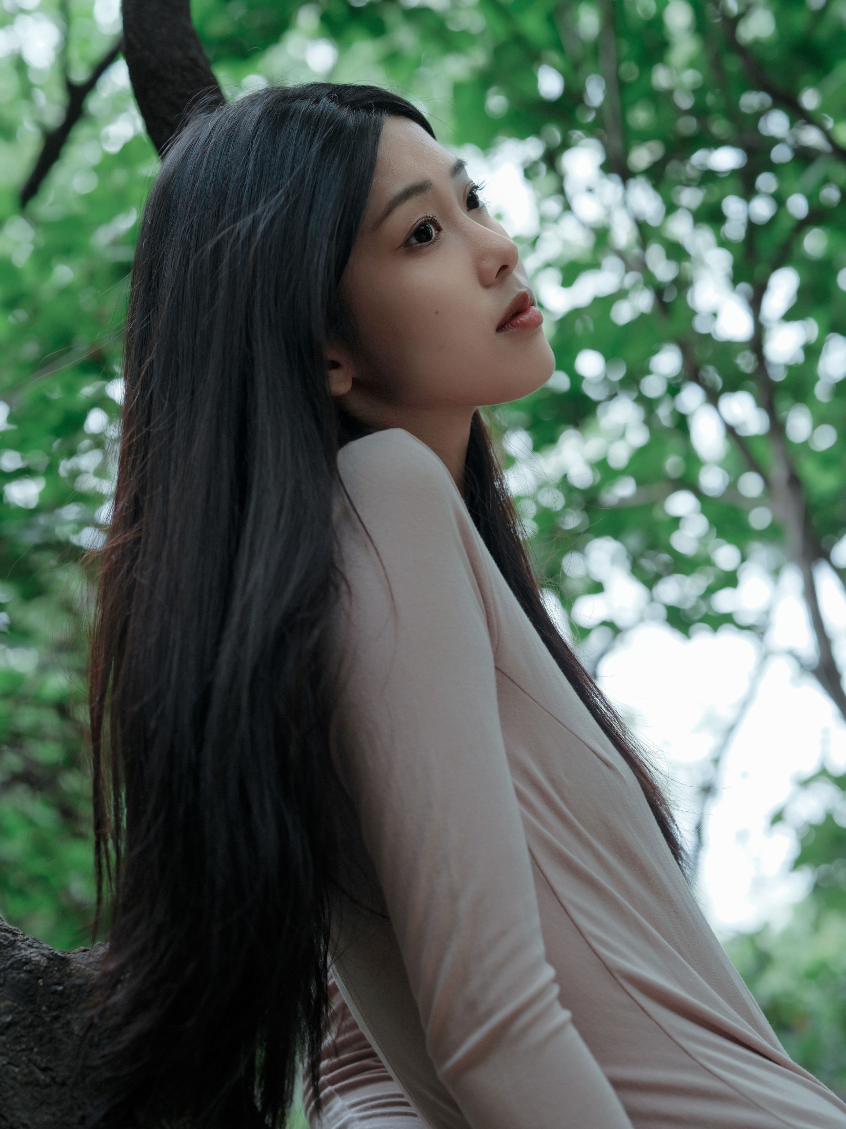 钰清风 – 《葳蕤》[24P] 插图4