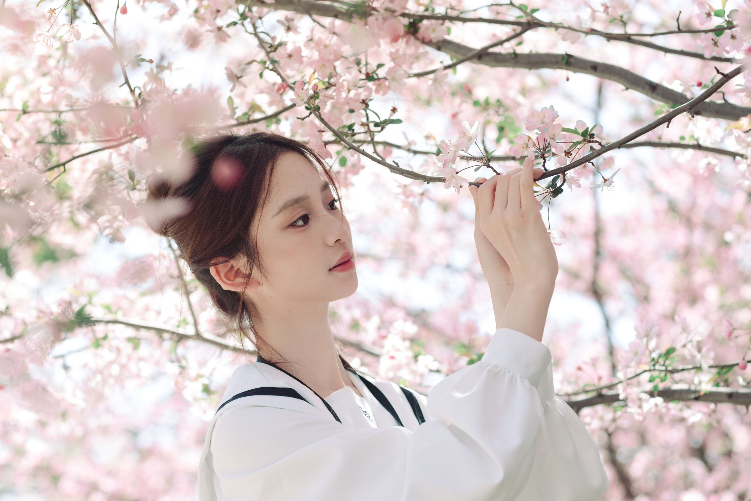 佳莹 – 《海棠花未眠》[35P] 插图5