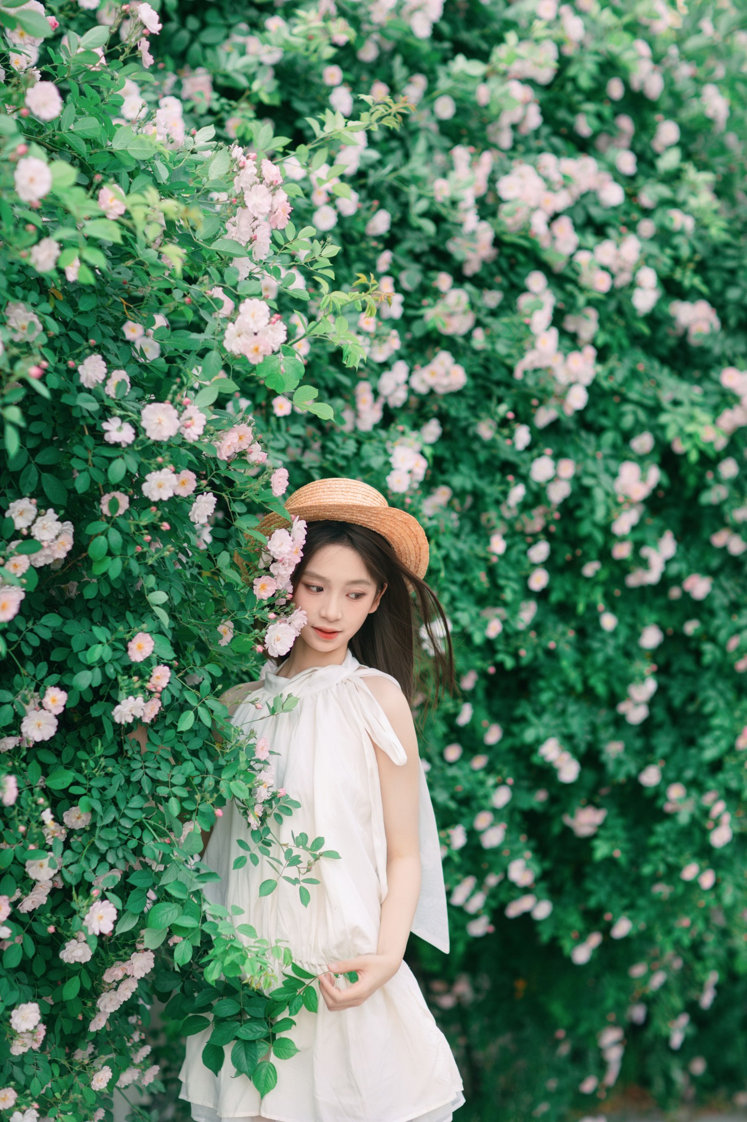 Minejoin – 《4月蔷薇花》[41P] 插图5