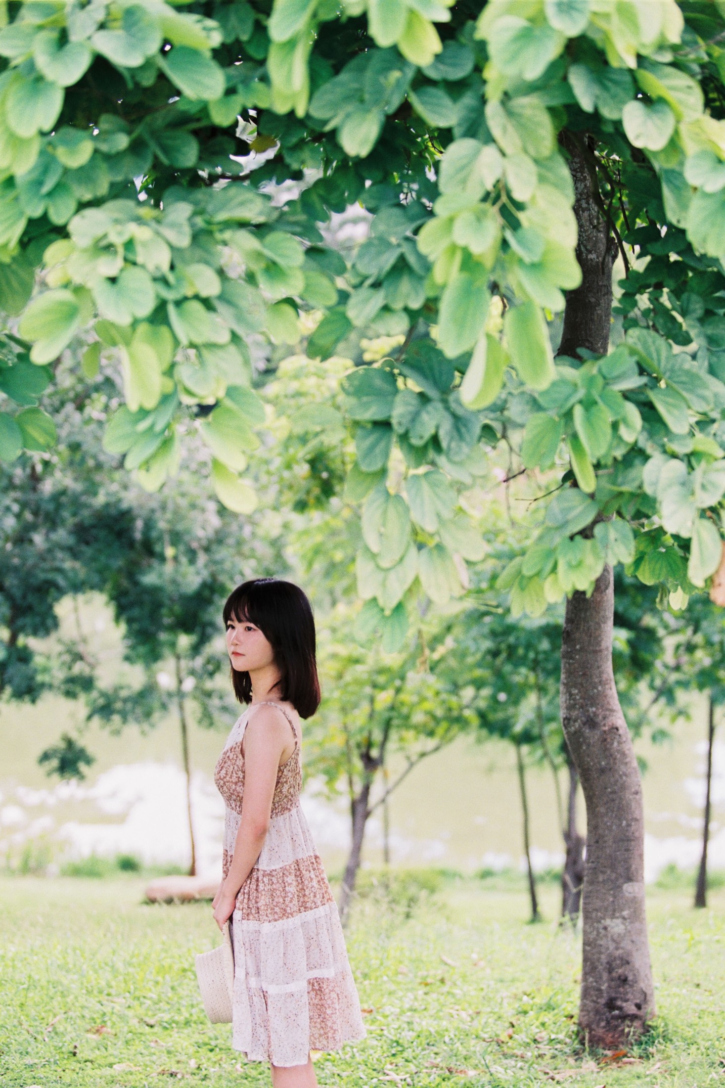 四月岛雯 – 《夏天的草地》[30P]-66COS