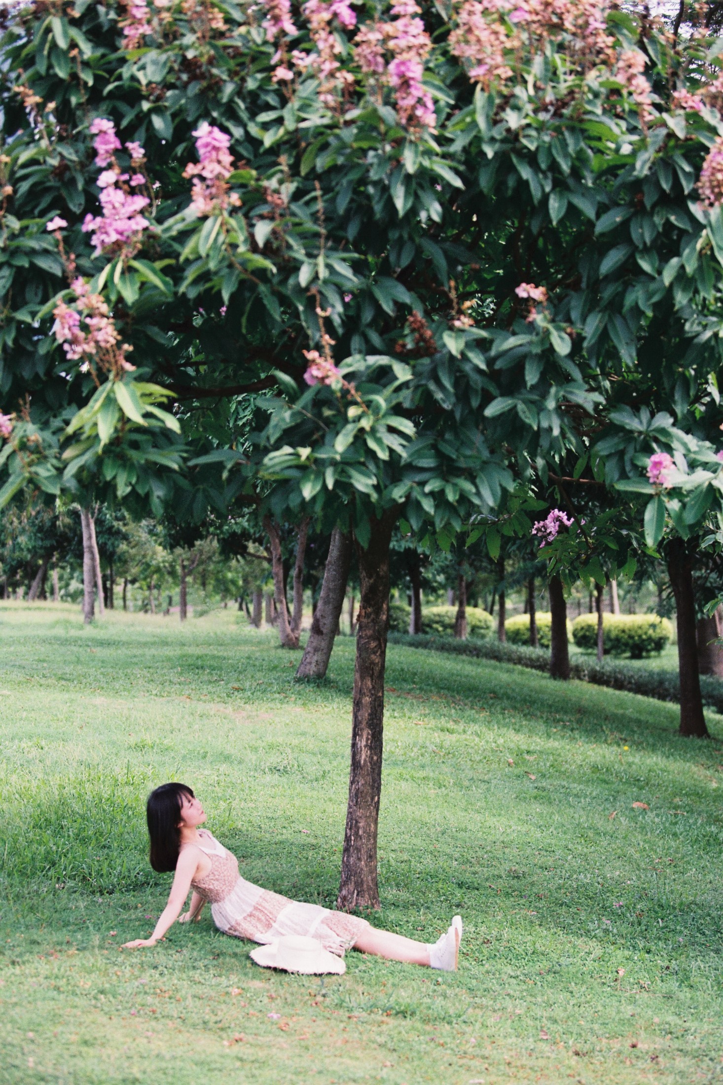 四月岛雯 – 《夏天的草地》[30P] 插图3