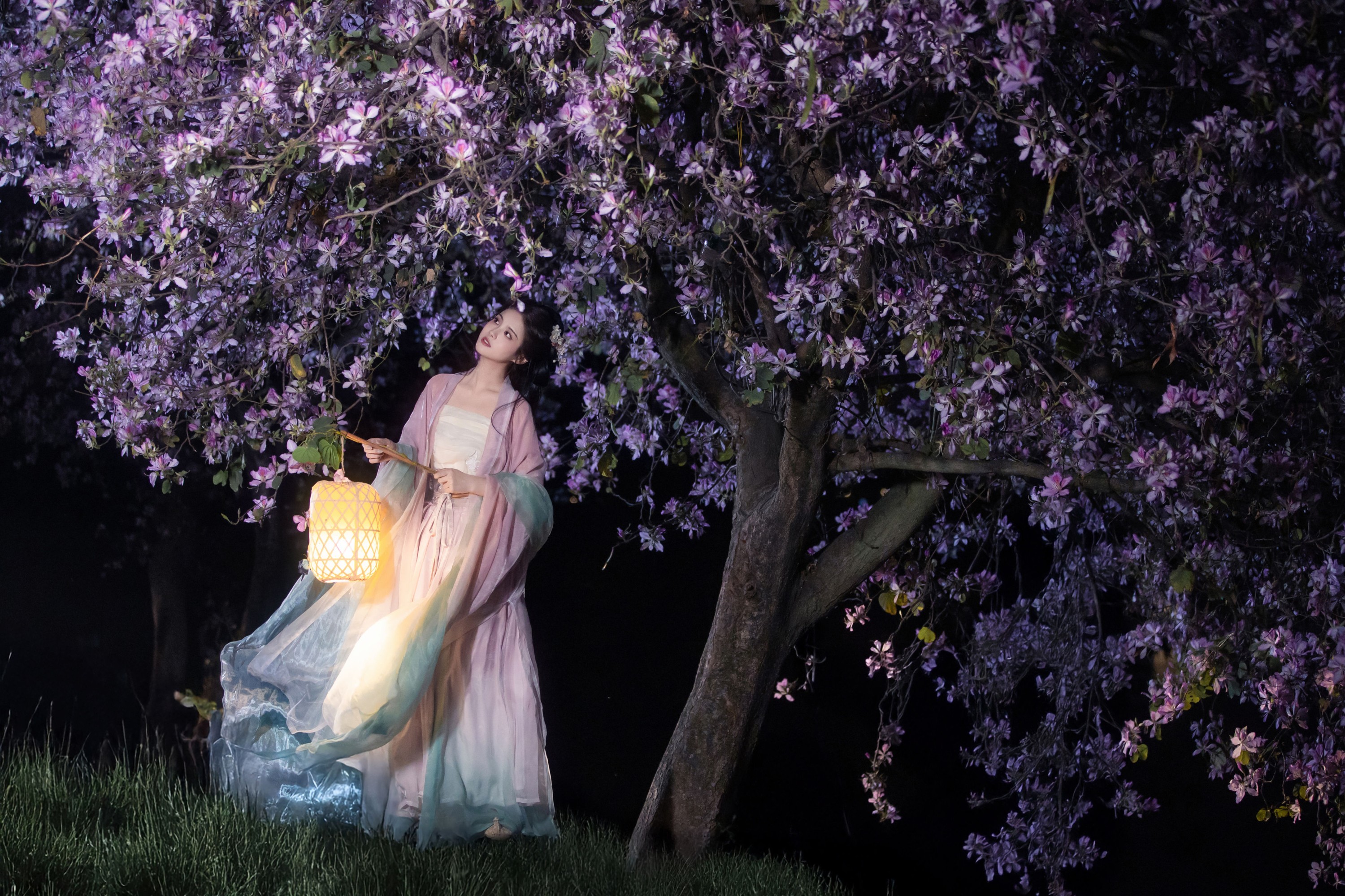 三也酱酱 – 《挽星灯》[21P] 插图3