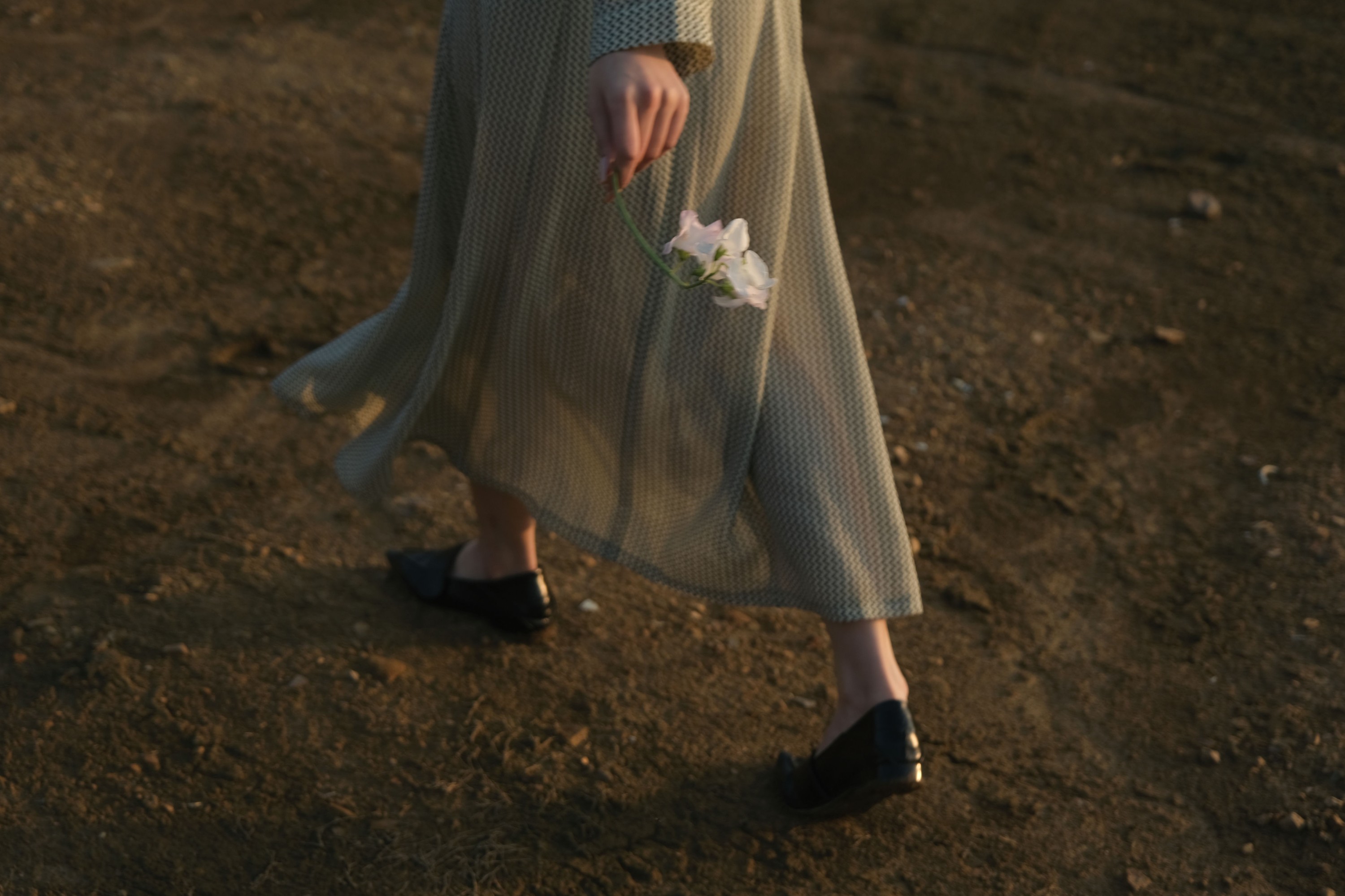 14 – 《夕阳西下》[13P] 插图5