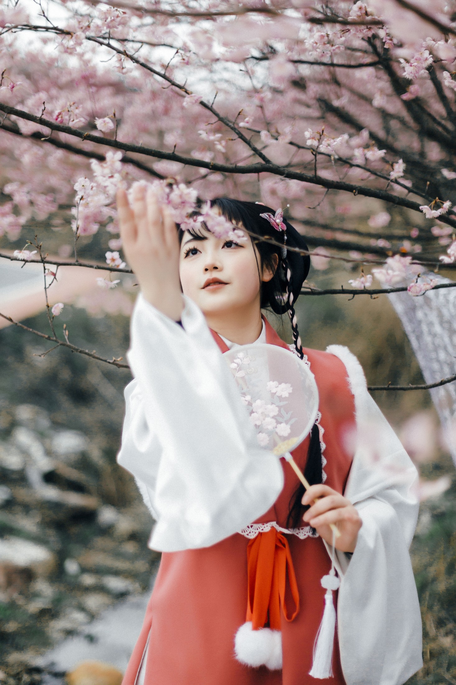 -张张要开张- – 《赏春》[18P]-66COS