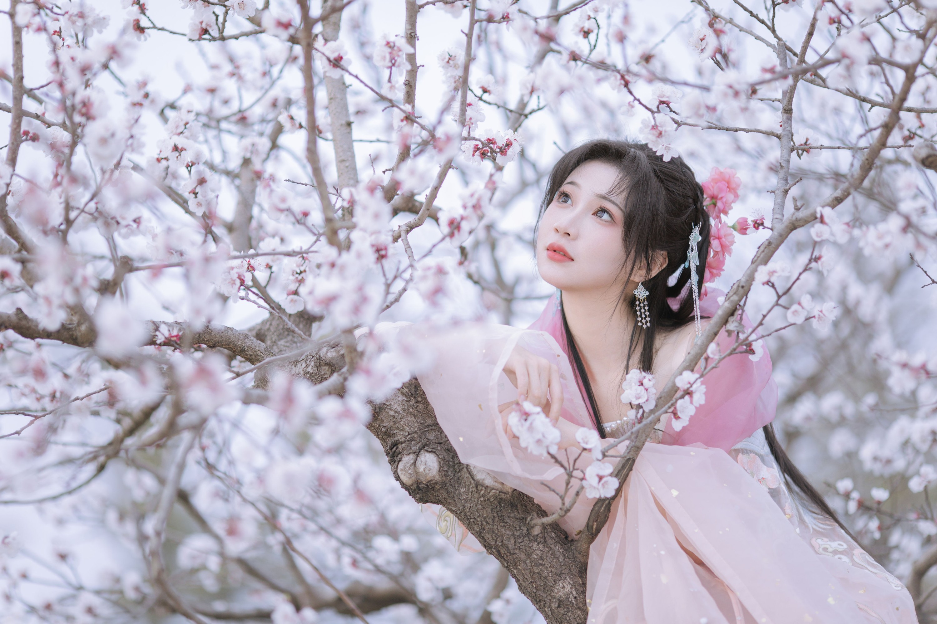 绮罗生的小苏苏 – 《杏花小仙子》[18P] 插图4