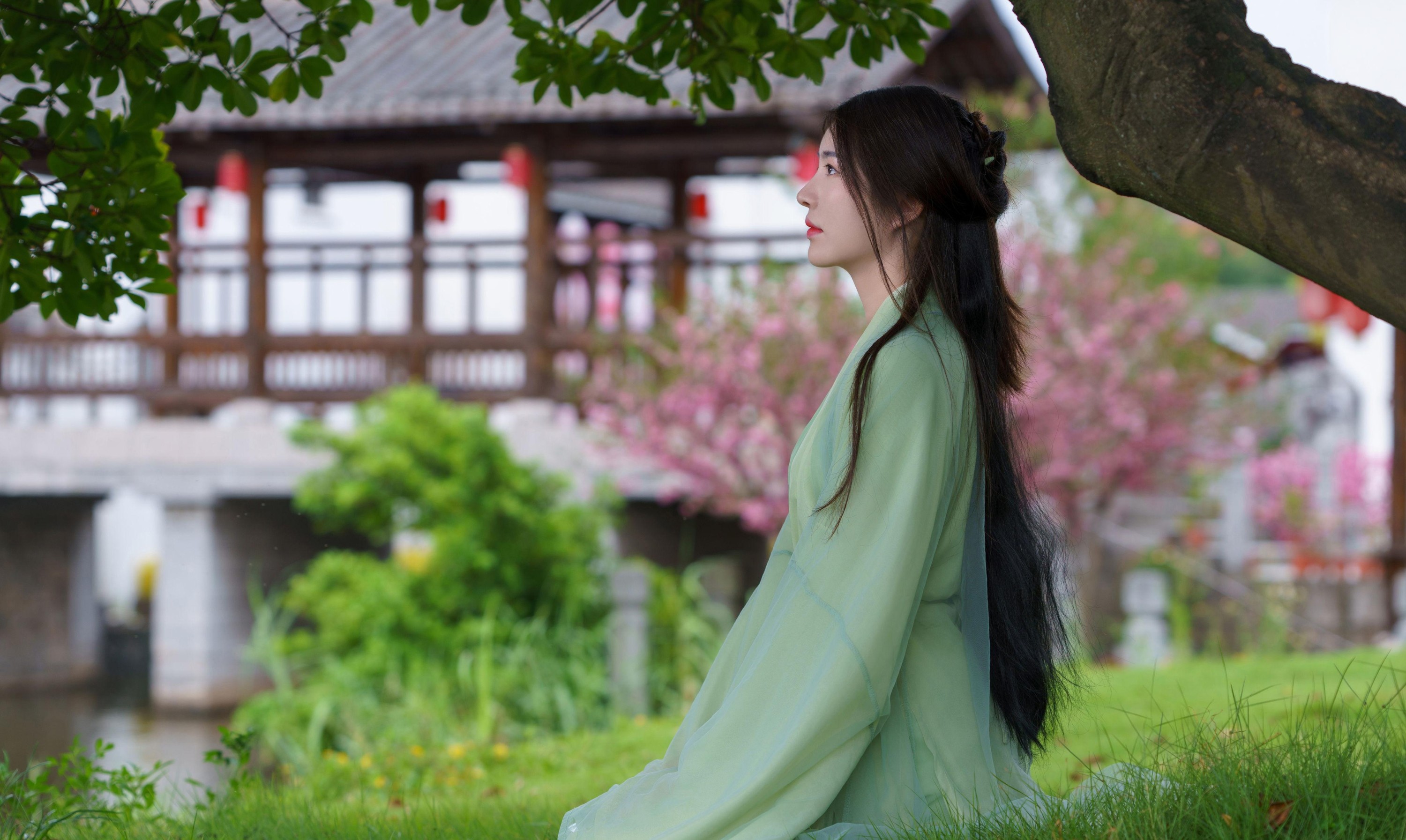 青葙女子 – 《绿衣幽梦：古韵风华集》[15P] 插图2