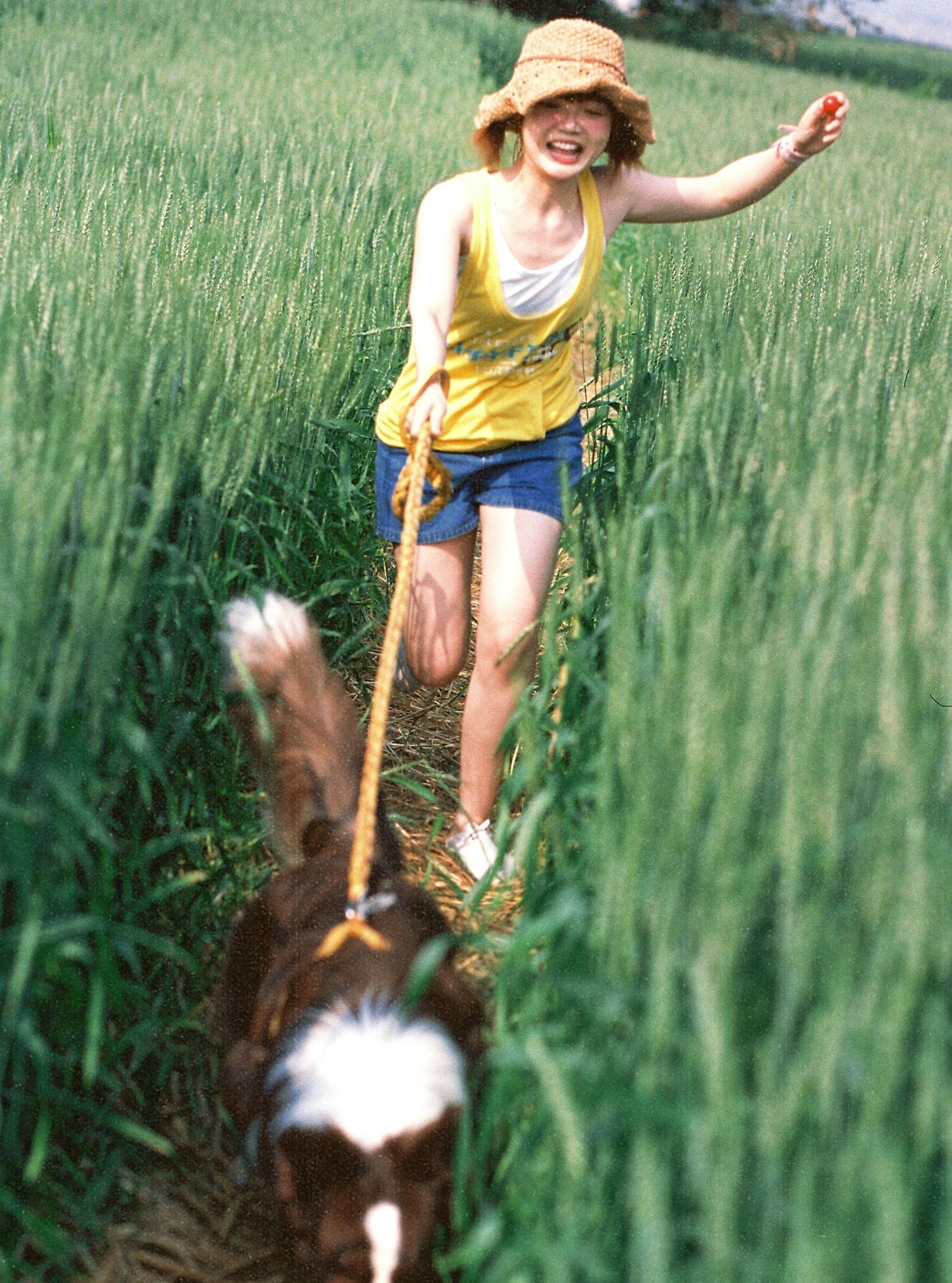 俊熙眼子 – 《麦田，少女，和狗》[17P] 插图2