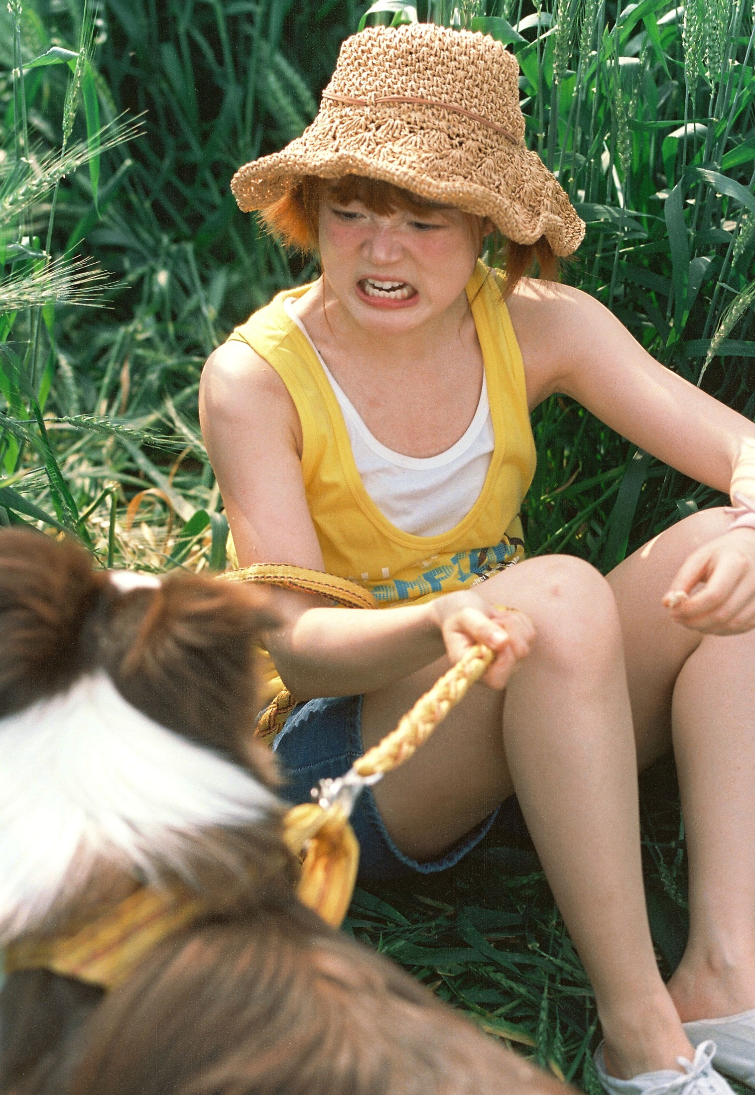 俊熙眼子 – 《麦田，少女，和狗》[17P] 插图5