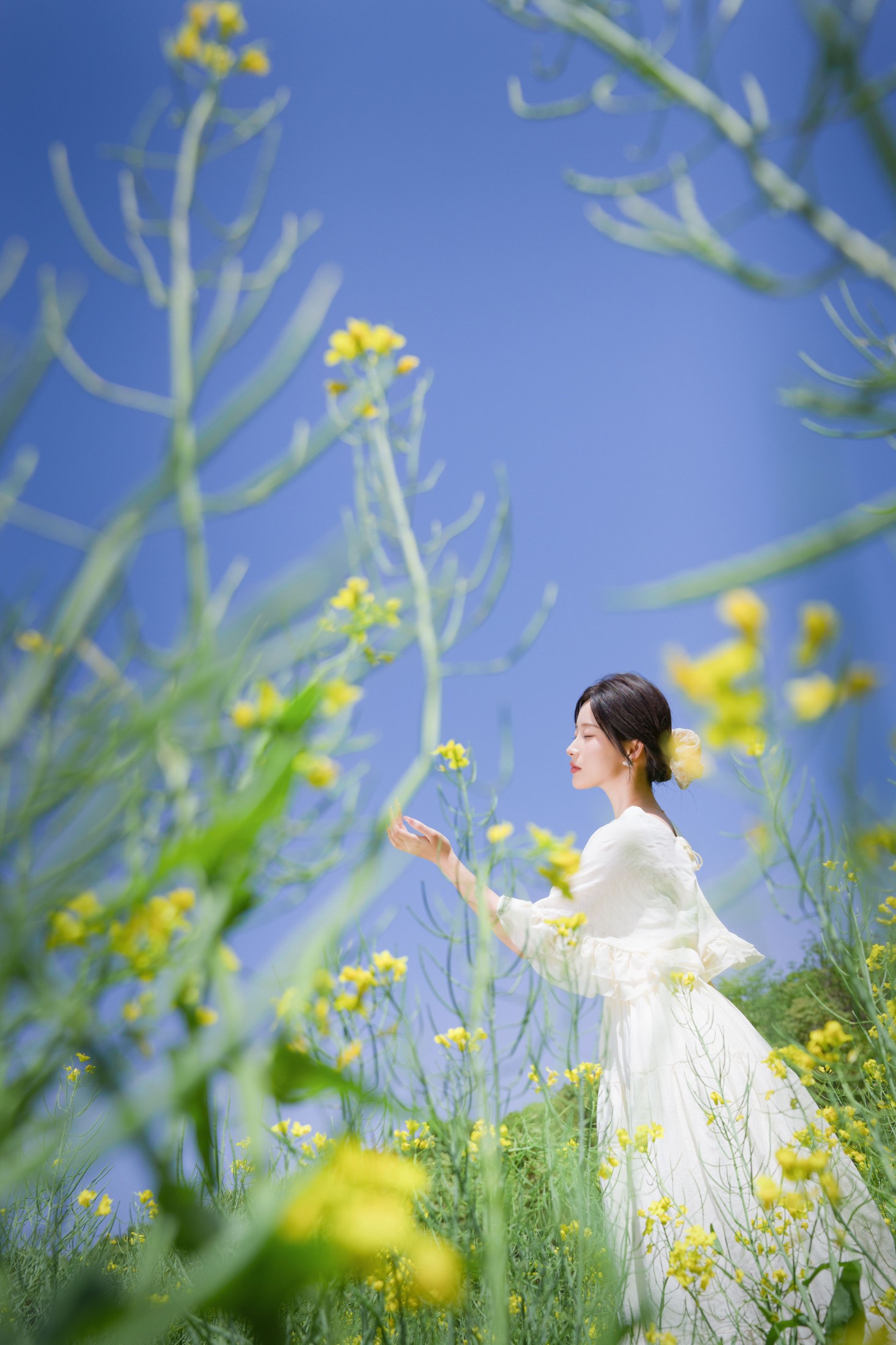 栀栀雯 – 《梦幻花海》[44P]-66COS