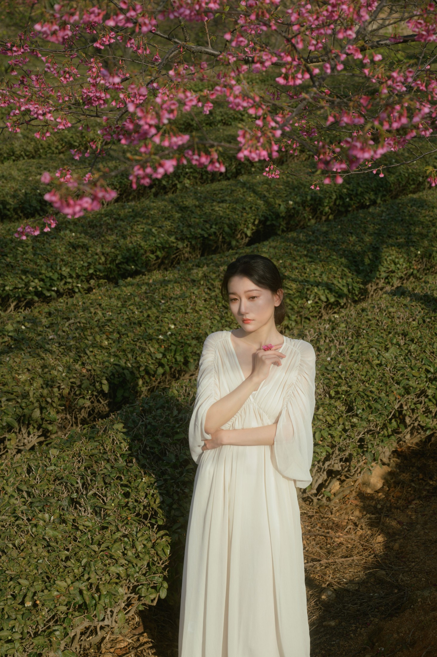 小月 – 《茶与樱》[27P] 插图4