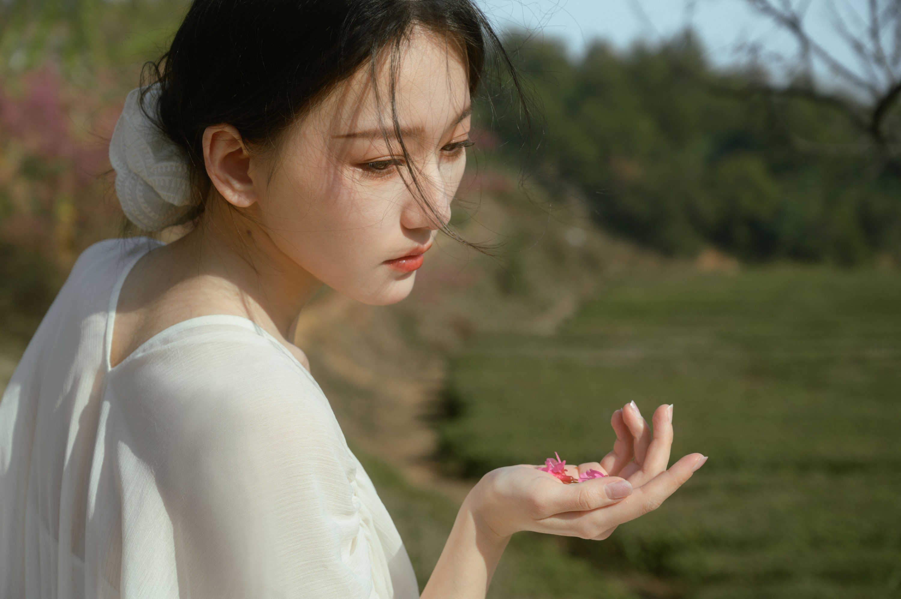 小月 – 《茶与樱》[27P]-66COS