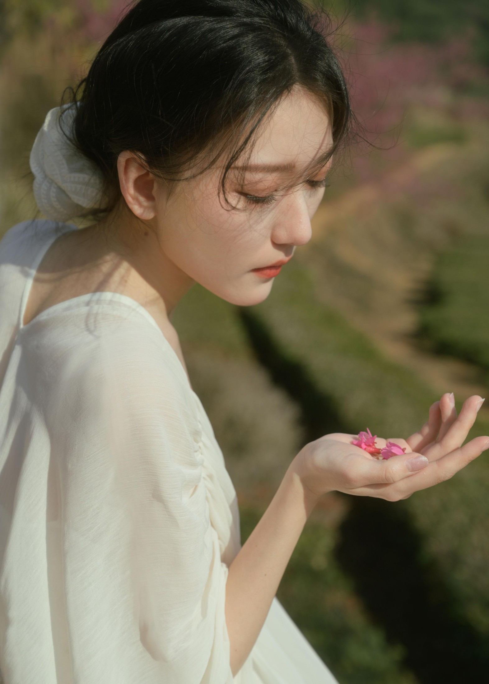 小月 – 《茶与樱》[27P] 插图2