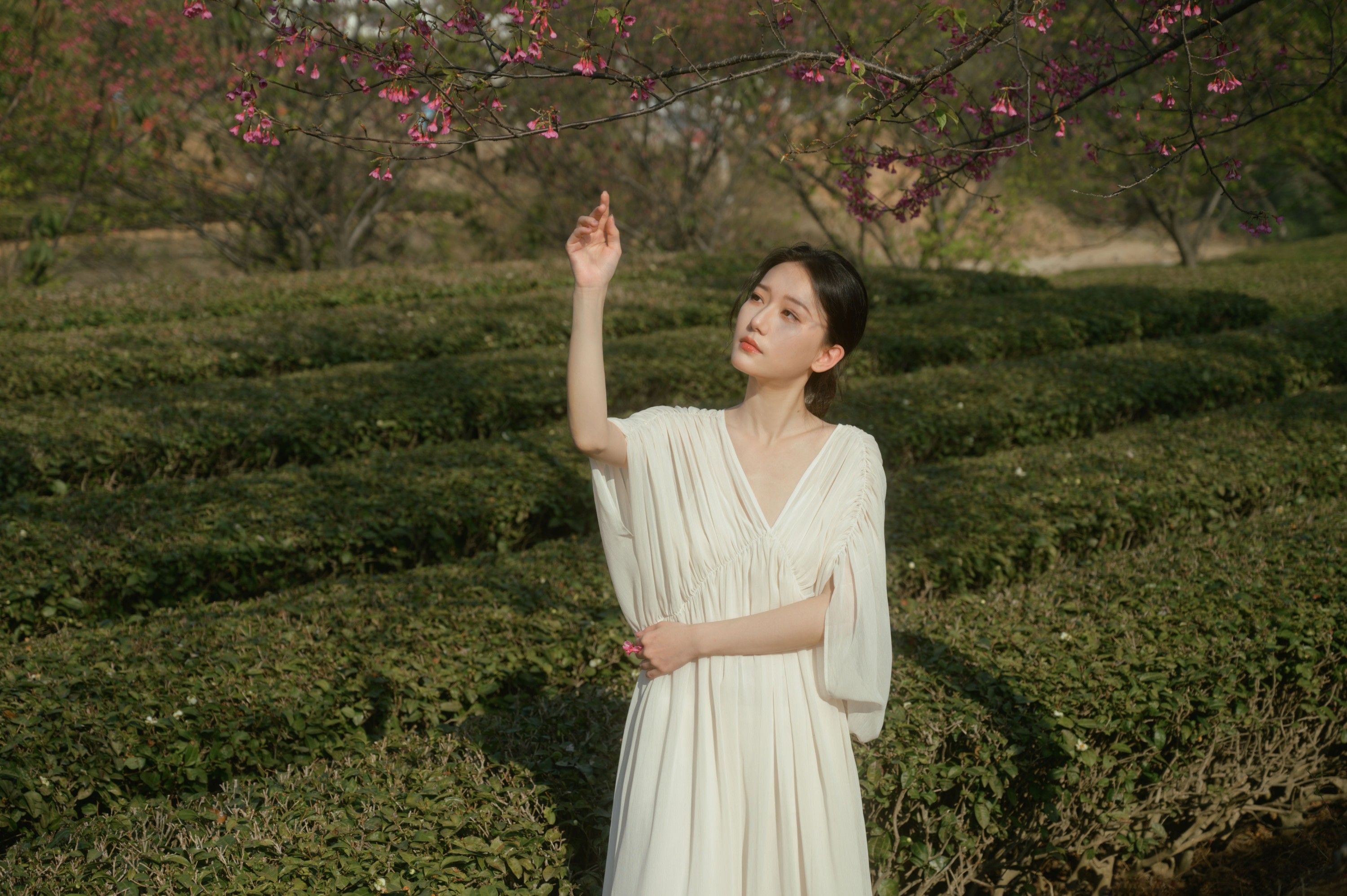 小月 – 《茶与樱》[27P] 插图5