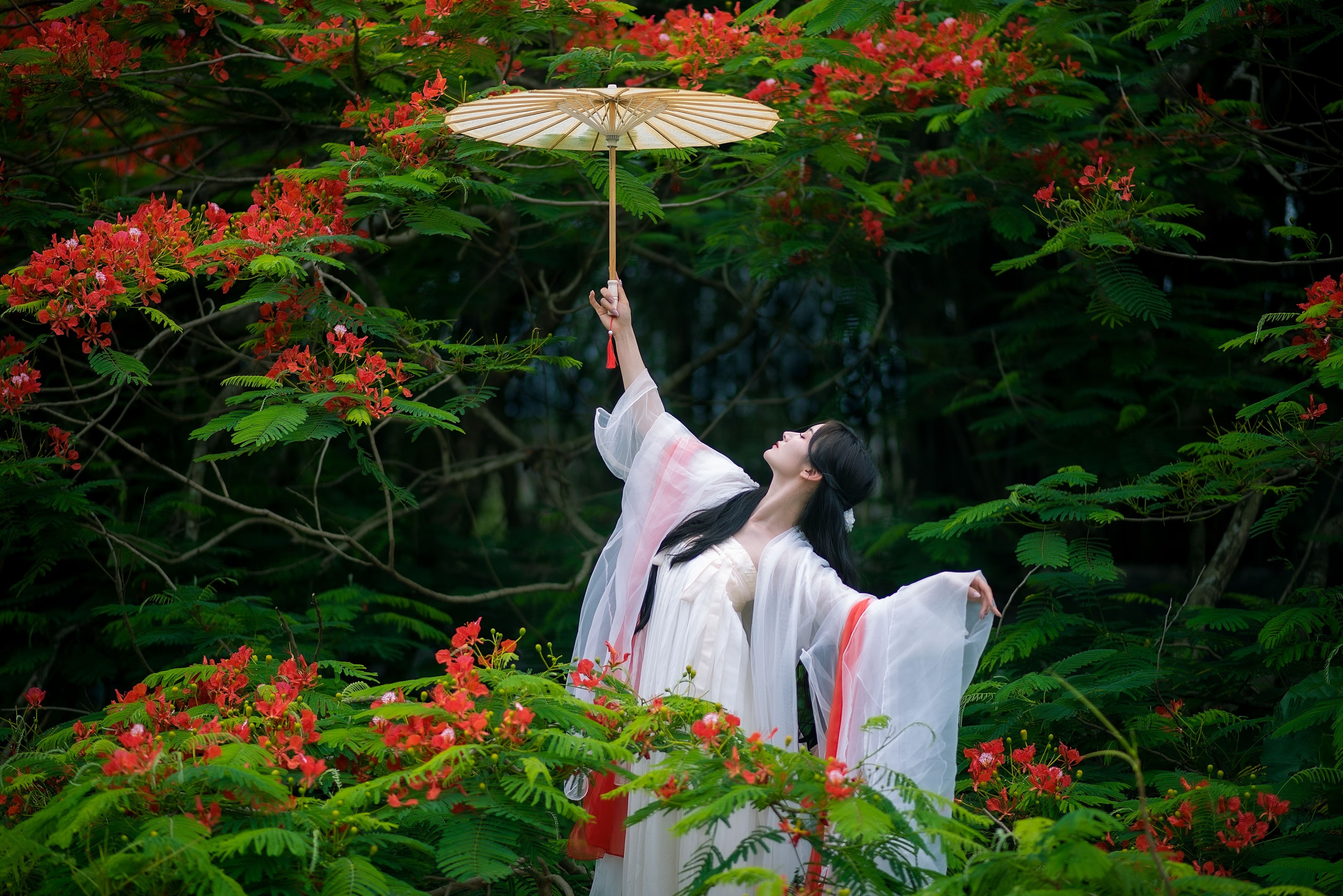 小冉 – 《凤凰花开》[18P] 插图4