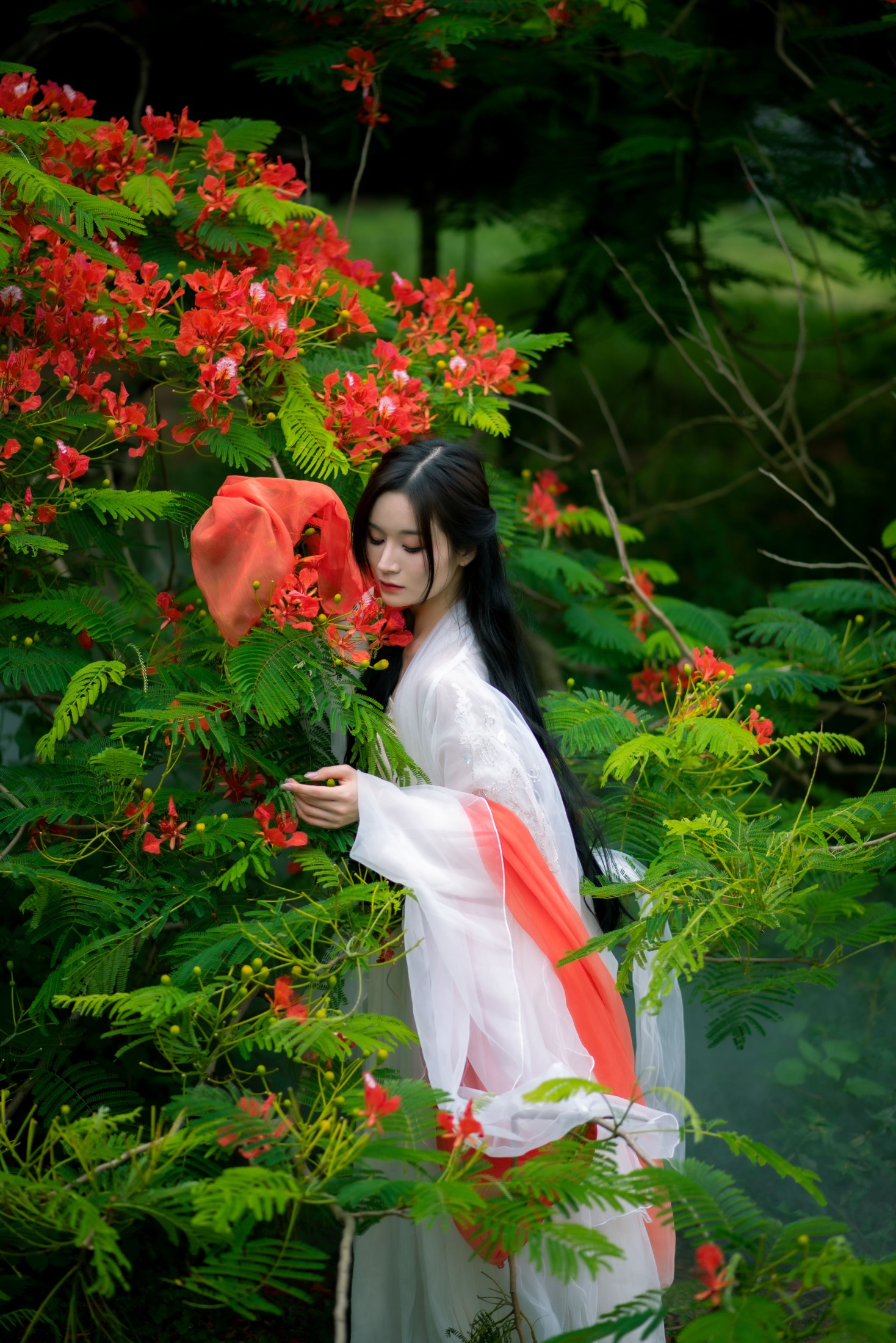 小冉 – 《凤凰花开》[18P]-66COS