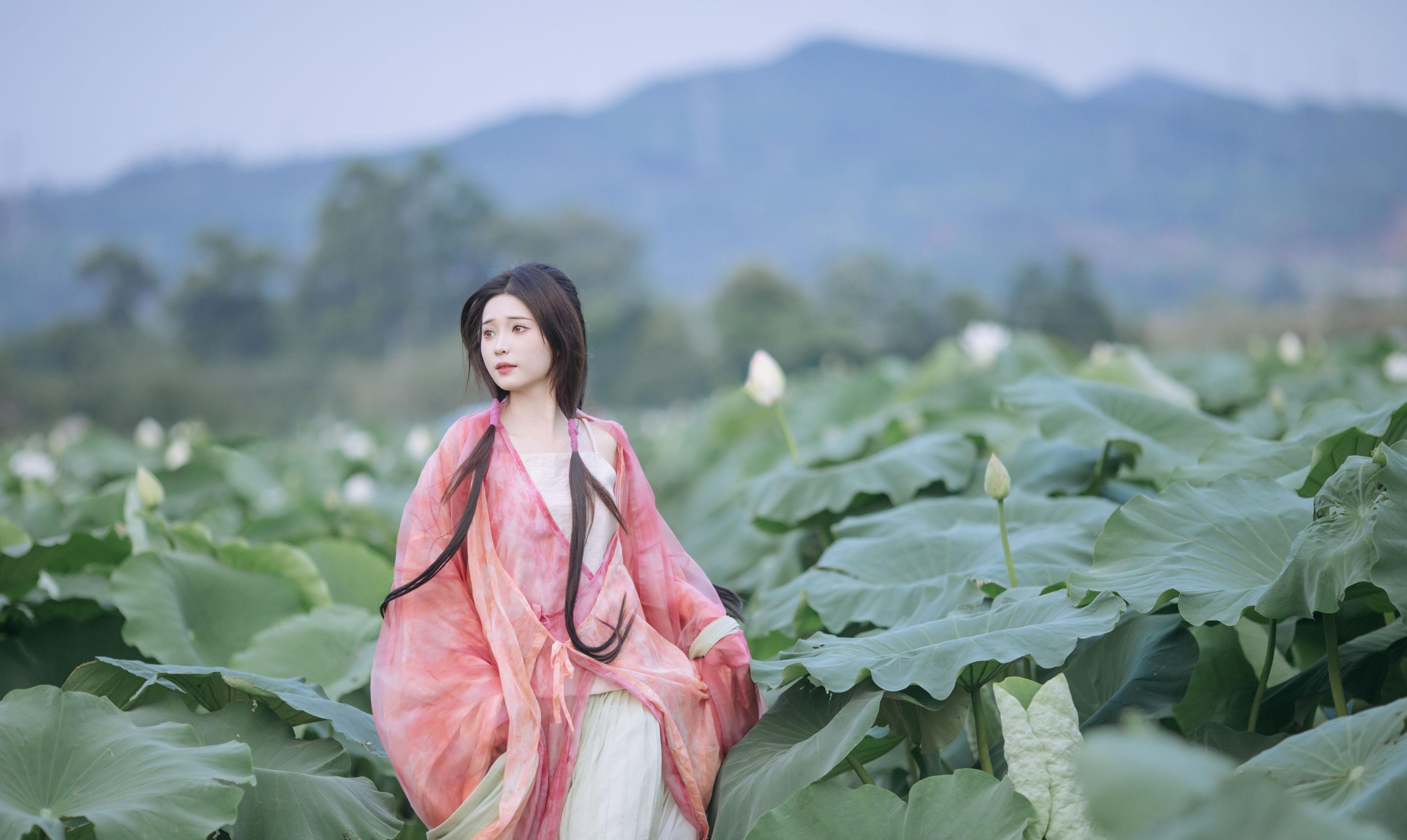 褚鸢鸢 – 《晚风吹倒荷花叶》[17P] 插图2