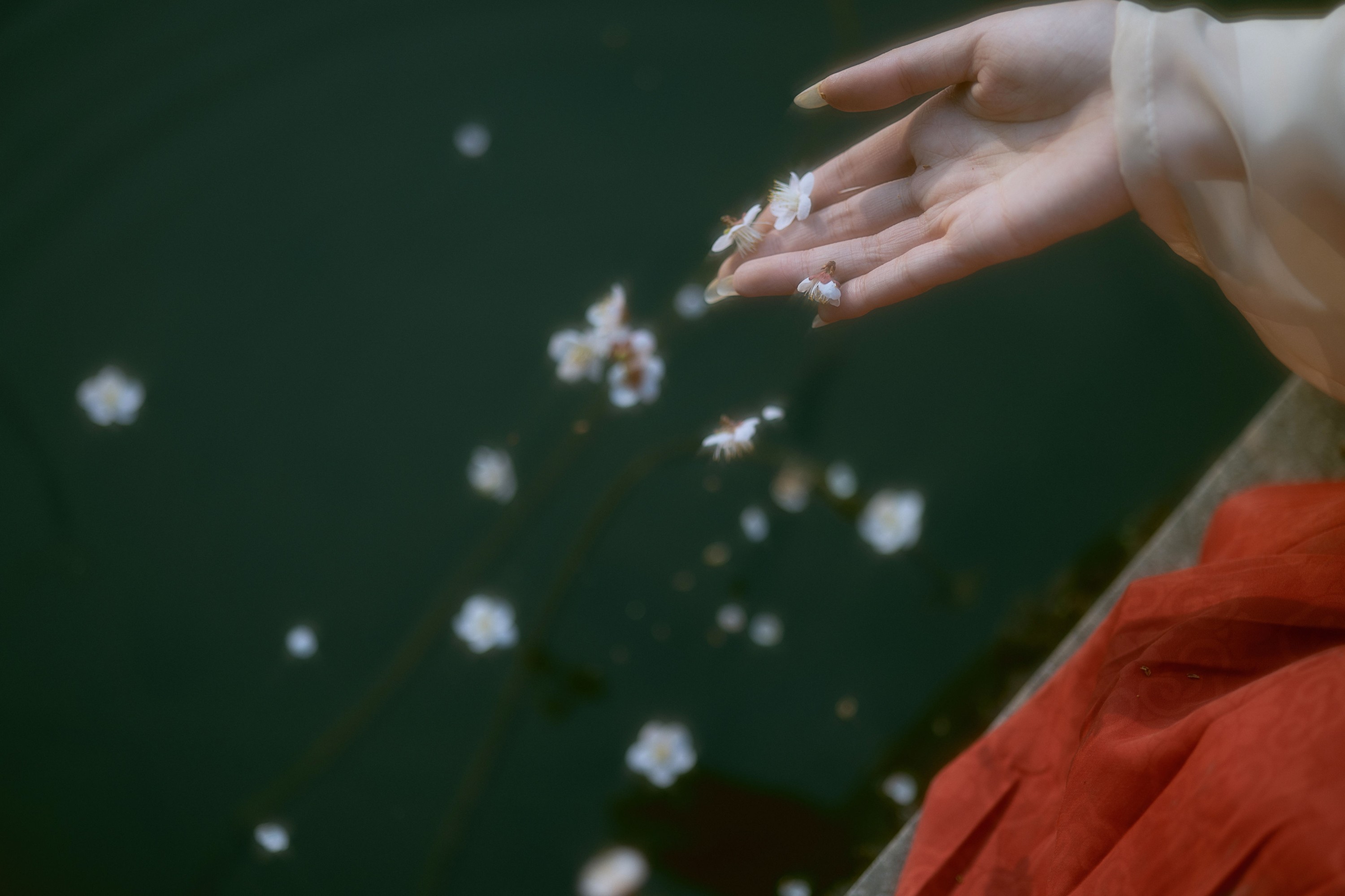 卿辛 八重湖泽 木土土土桂 – 《梦》[16P] 插图3