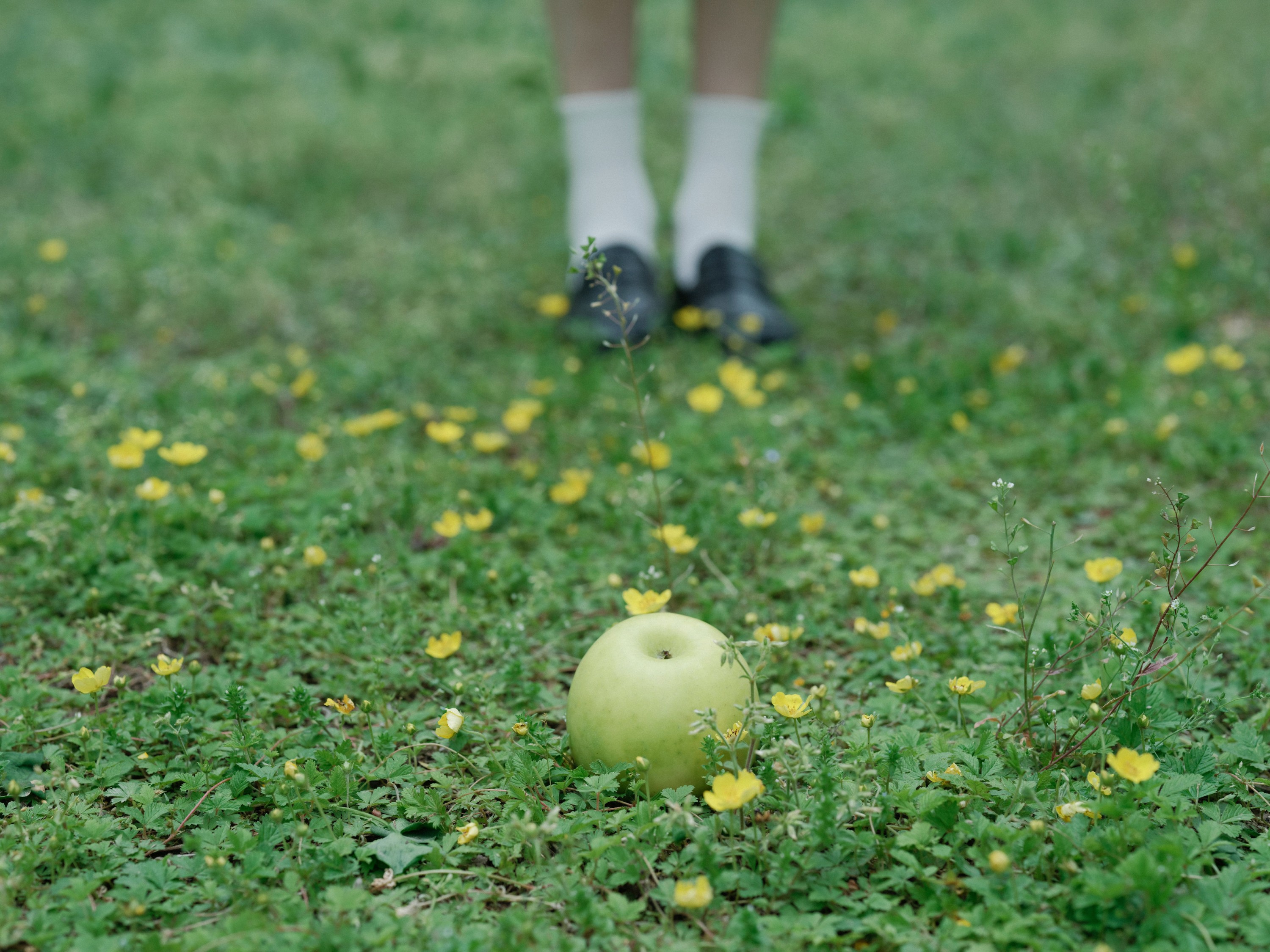 何以观 – 《无尽弦音》[35P] 插图4