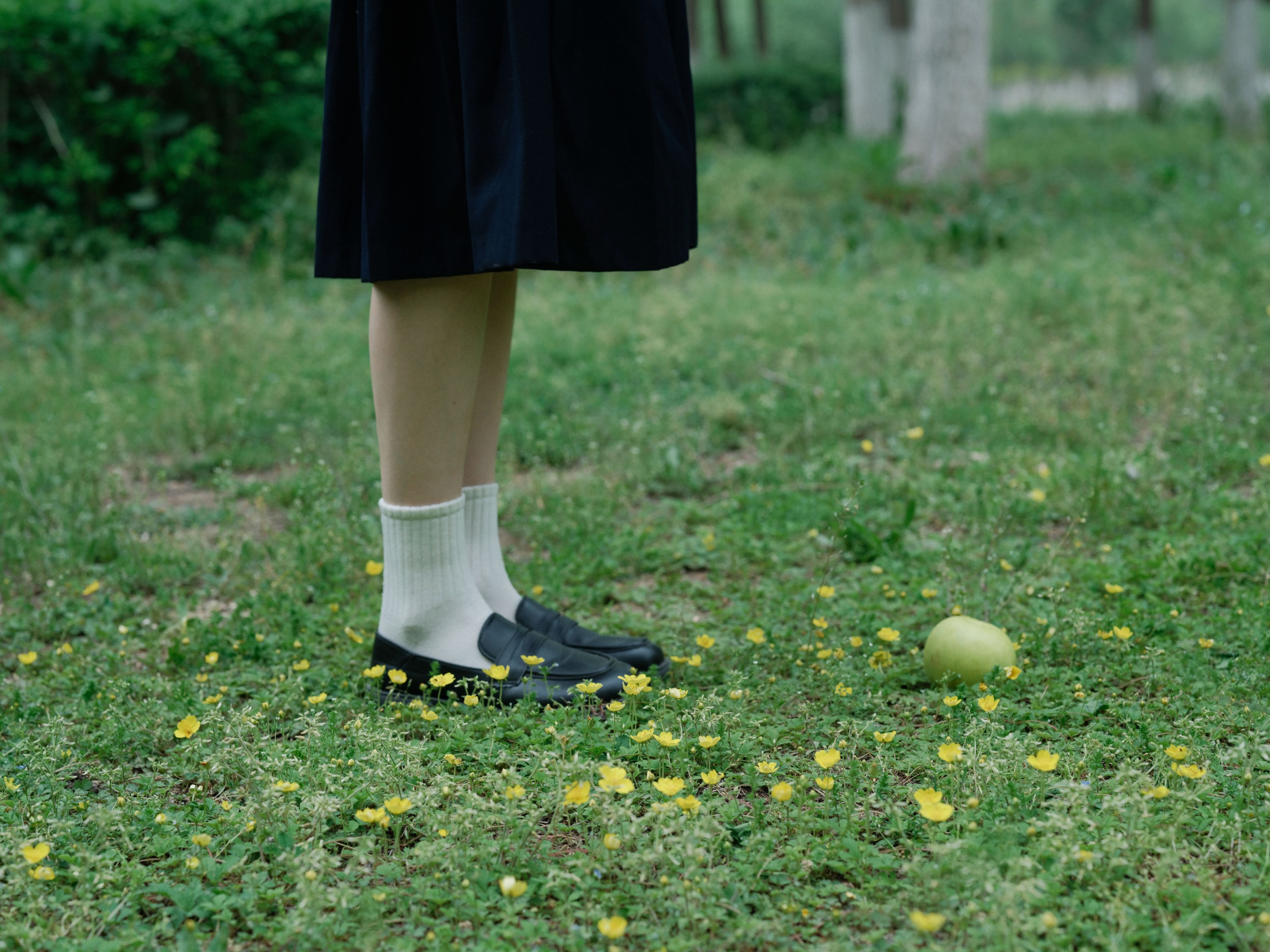 何以观 – 《无尽弦音》[35P] 插图5