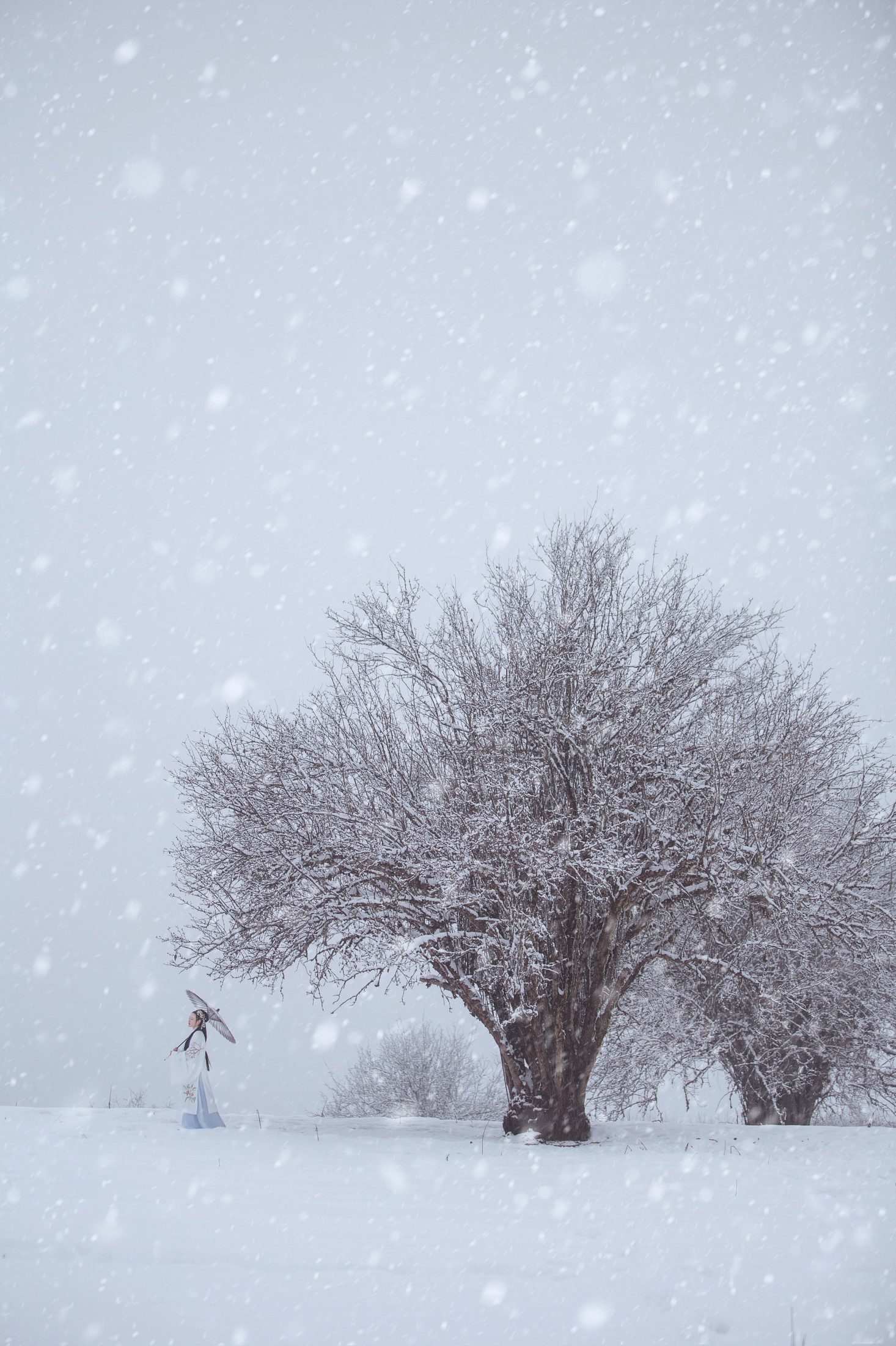 -芝月- – 《暮烟》[19P] 插图5