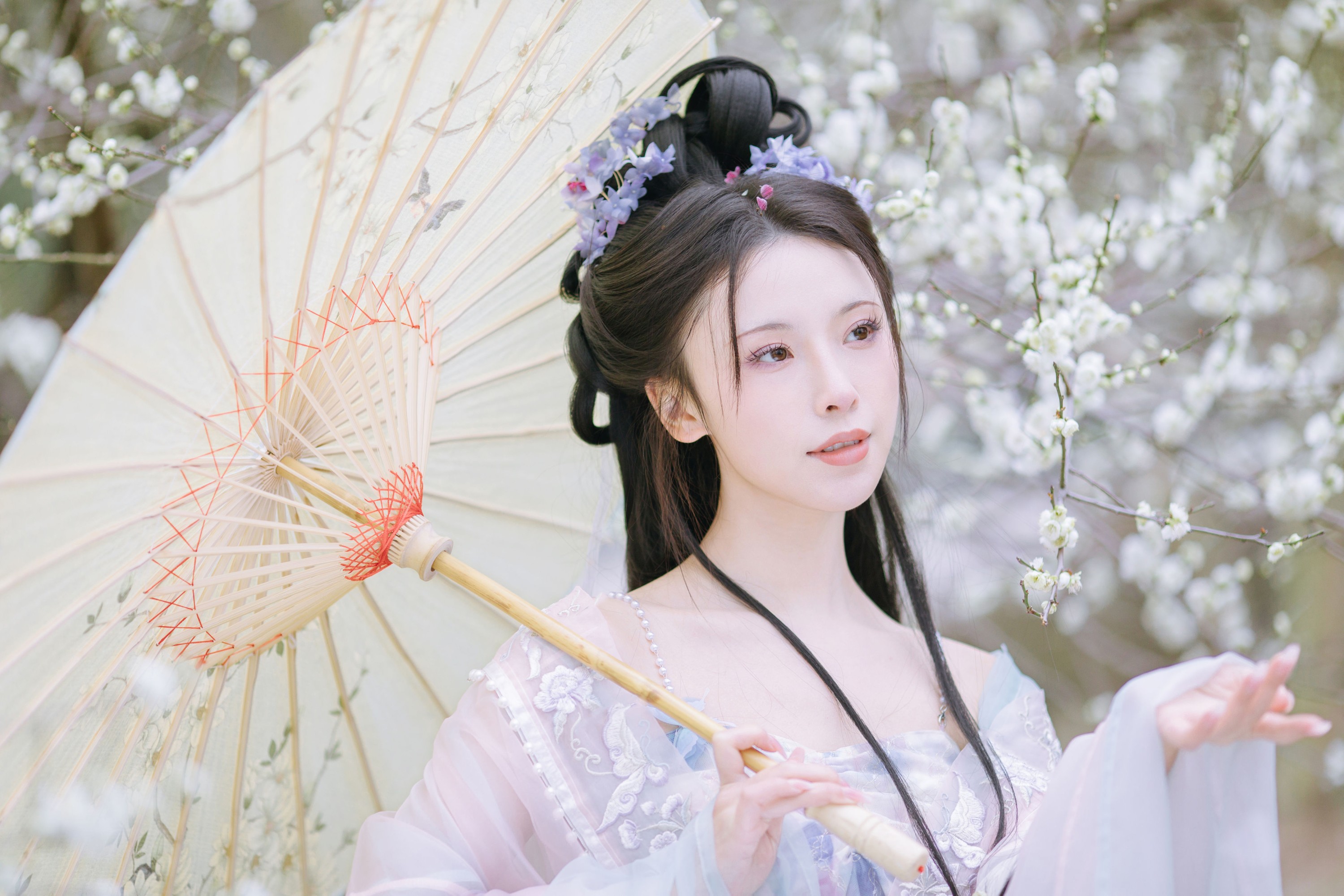 一小枝枝枝枝 – 《暗香疏影》[17P] 插图4