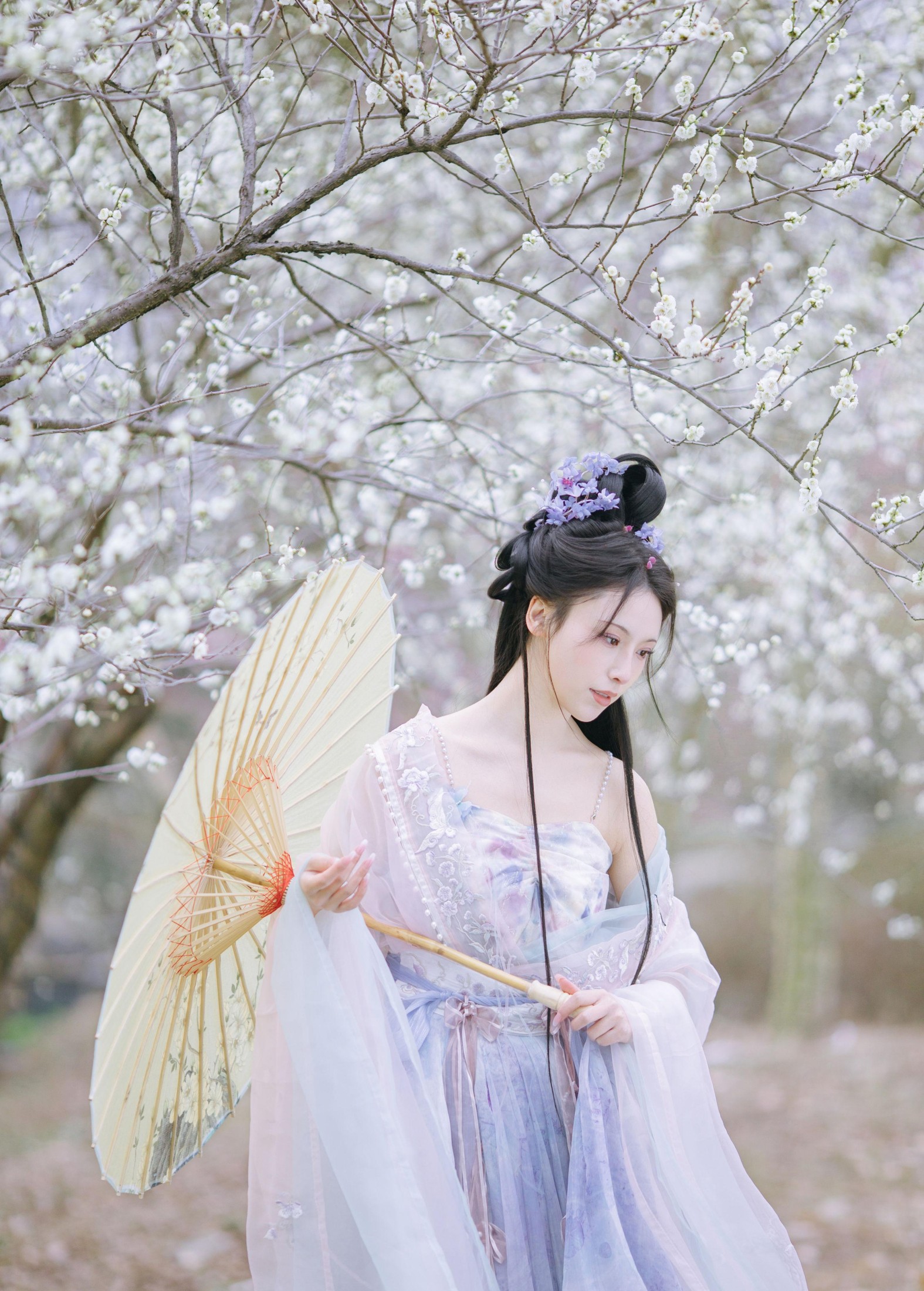 一小枝枝枝枝 – 《暗香疏影》[17P] 插图2