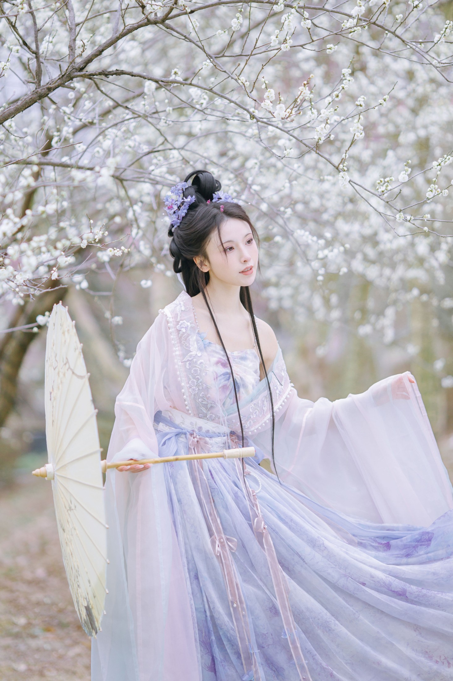 一小枝枝枝枝 – 《暗香疏影》[17P]-66COS
