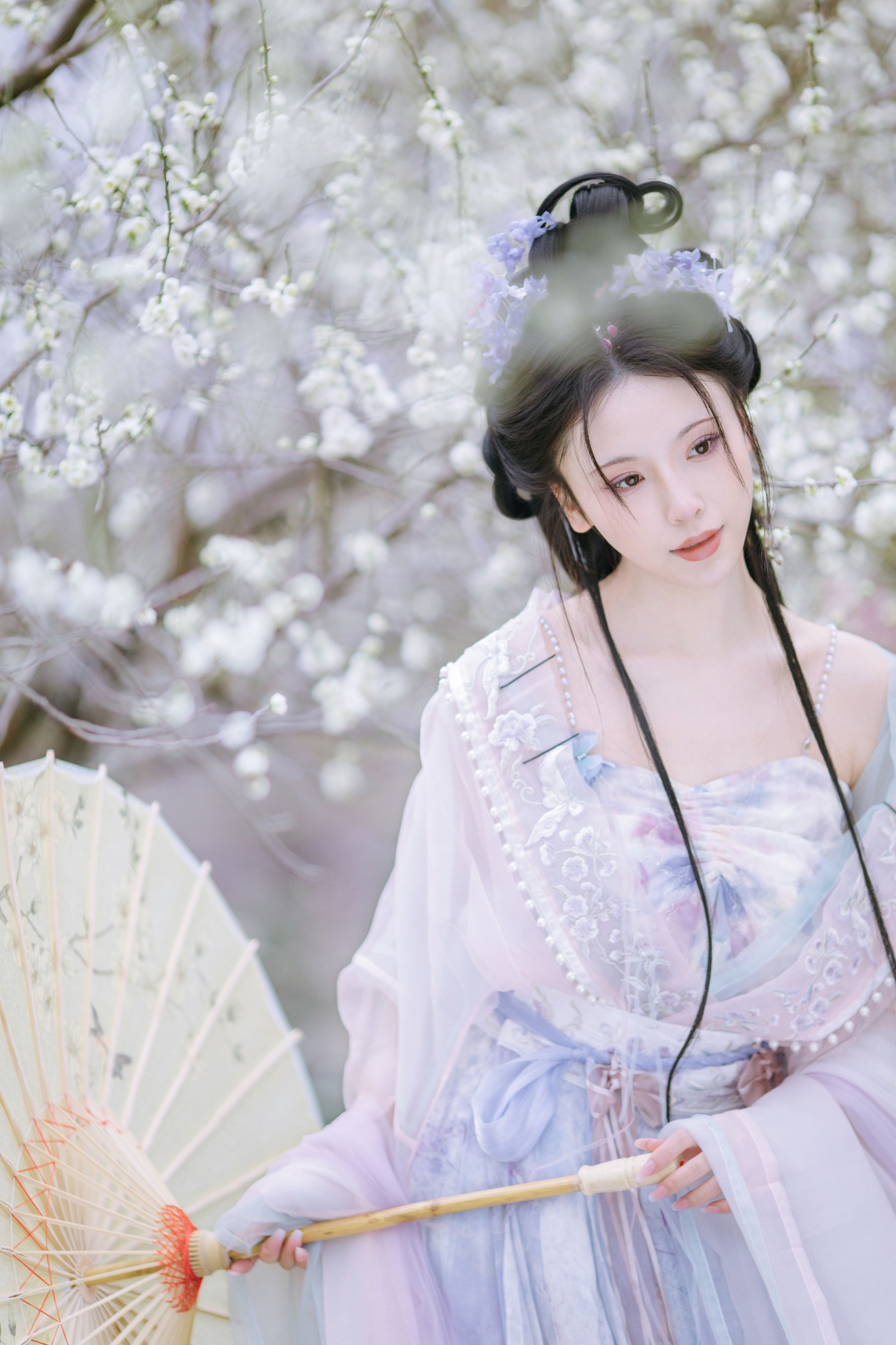 一小枝枝枝枝 – 《暗香疏影》[17P] 插图3