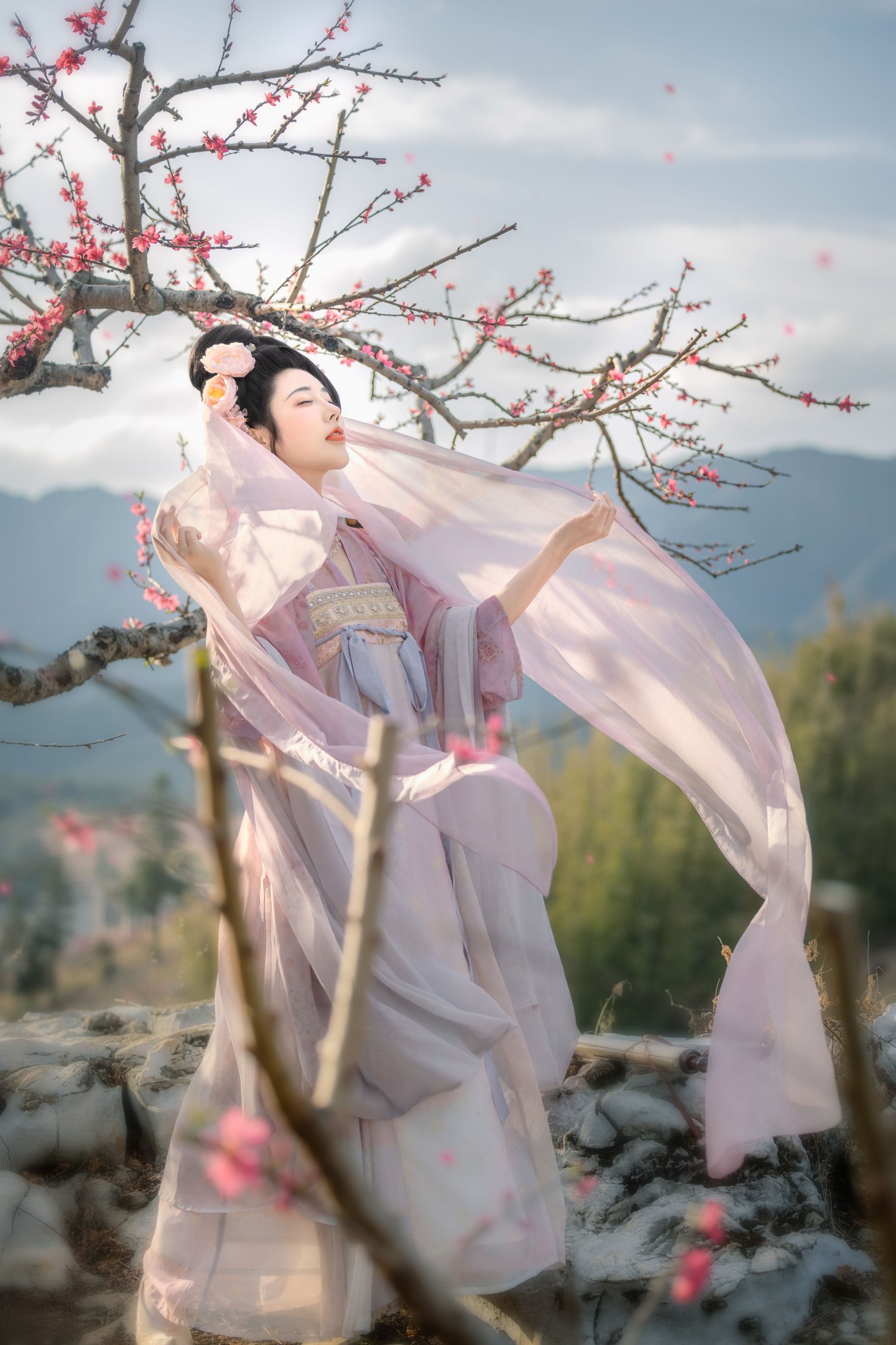 CC – 《花非花》[32P]-66COS