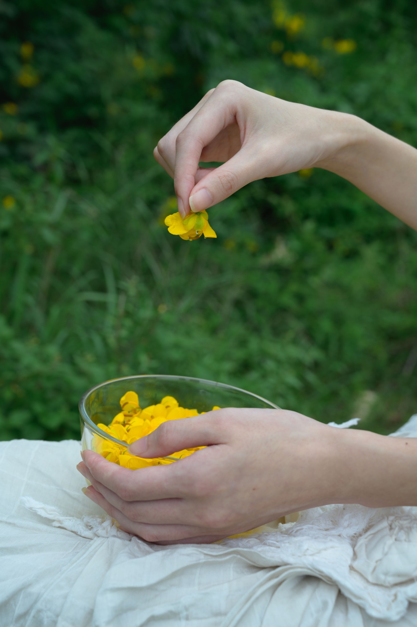 阿吉缘子 – 《黄槐花开》[18P] 插图4