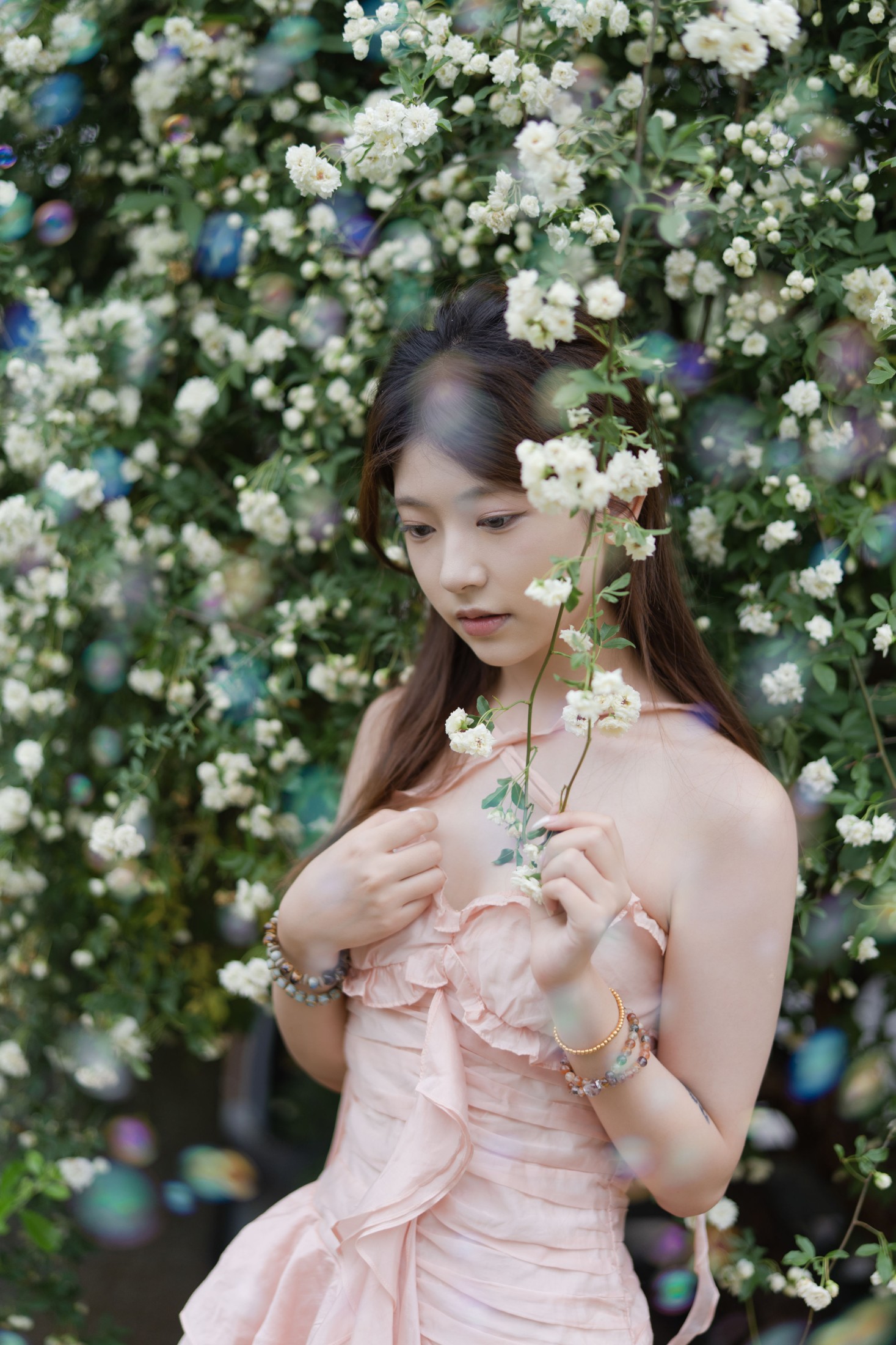 只喝奶盖 – 《蔷薇情》[28P] 插图5