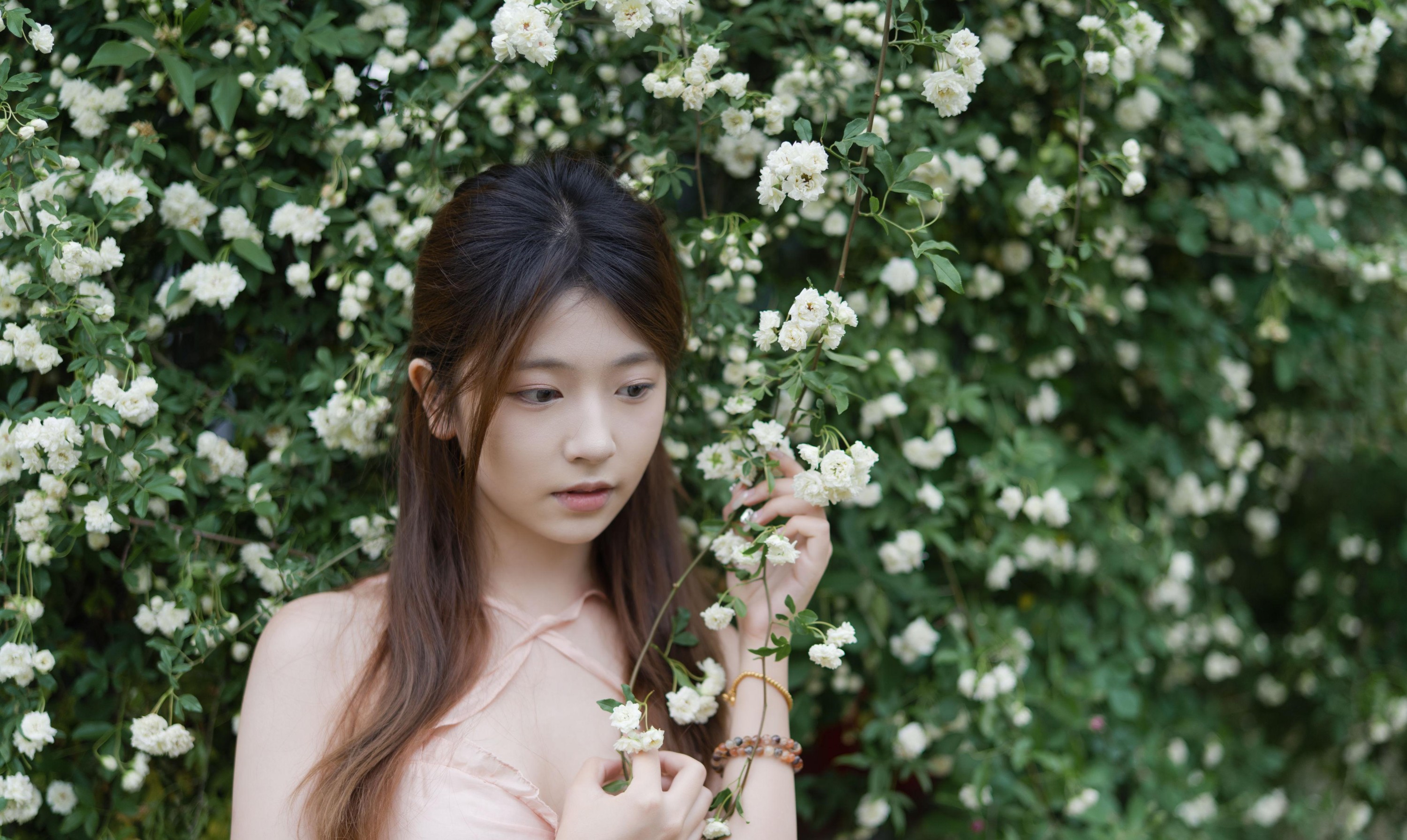 只喝奶盖 – 《蔷薇情》[28P] 插图2