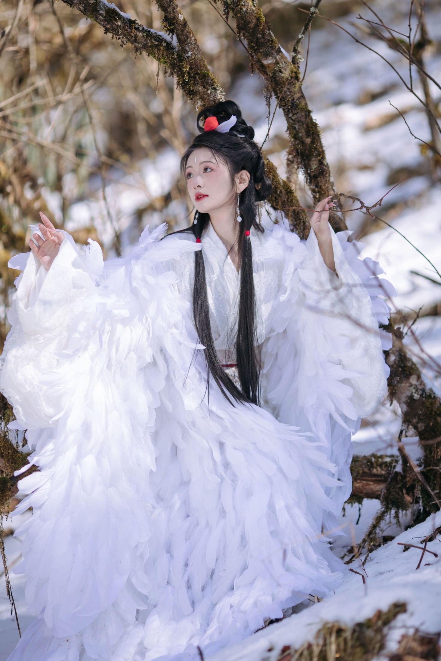 赤嫣在这里～ – 《鹤族圣女》[18P]-66COS