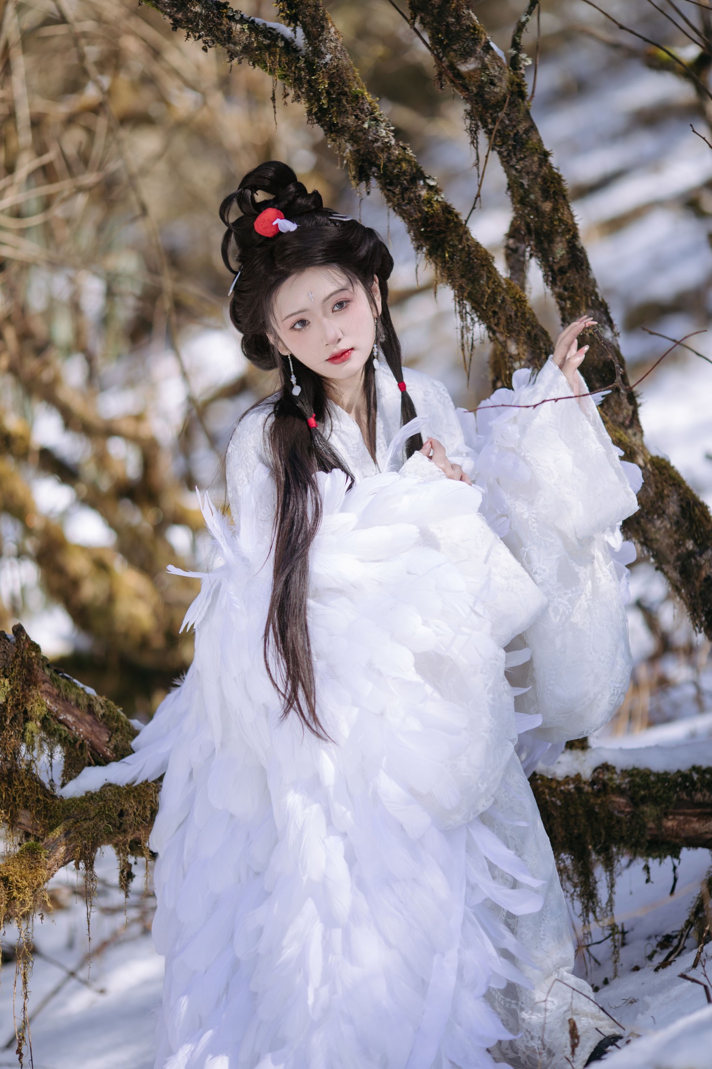 赤嫣在这里～ – 《鹤族圣女》[18P] 插图3