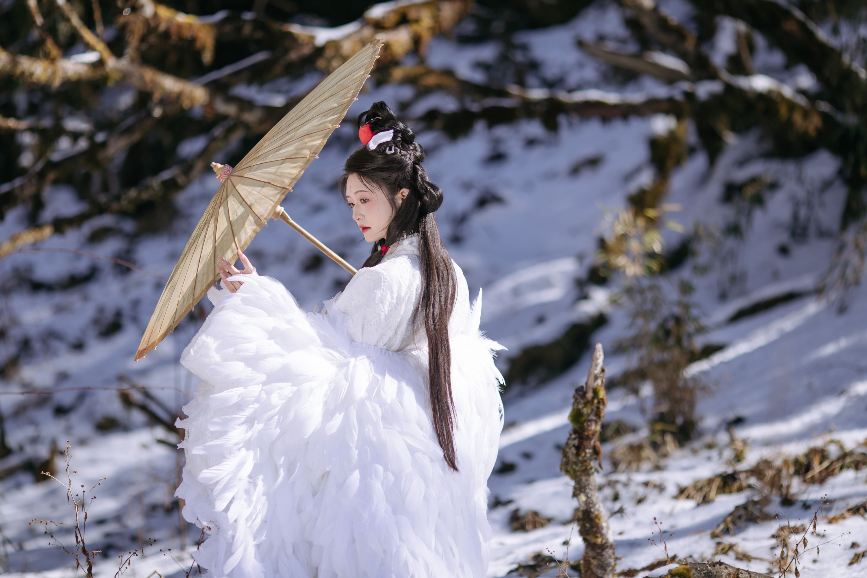 赤嫣在这里～ – 《鹤族圣女》[18P] 插图5