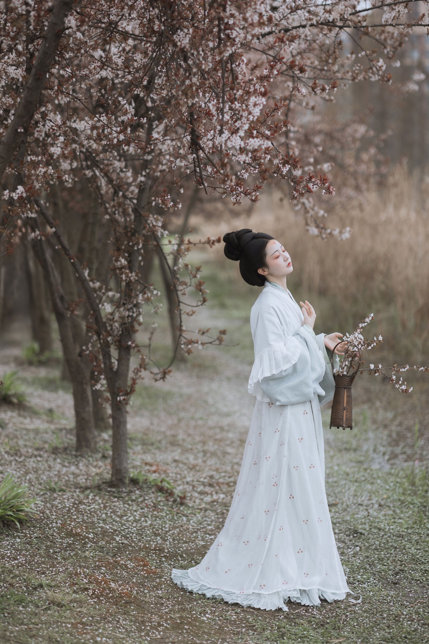 辞云镜 – 《探芳》[38P] 插图3