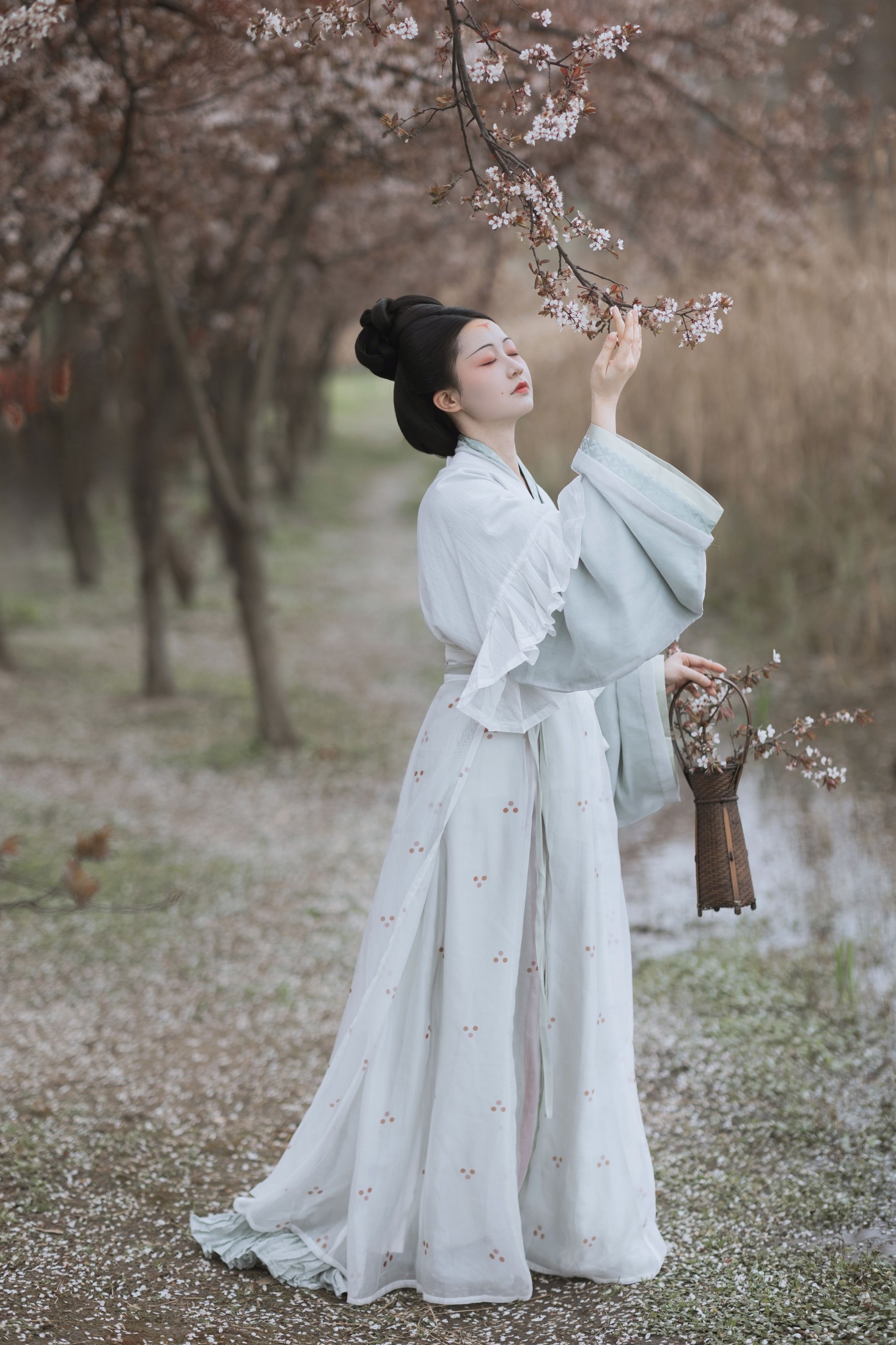 辞云镜 – 《探芳》[38P] 插图5