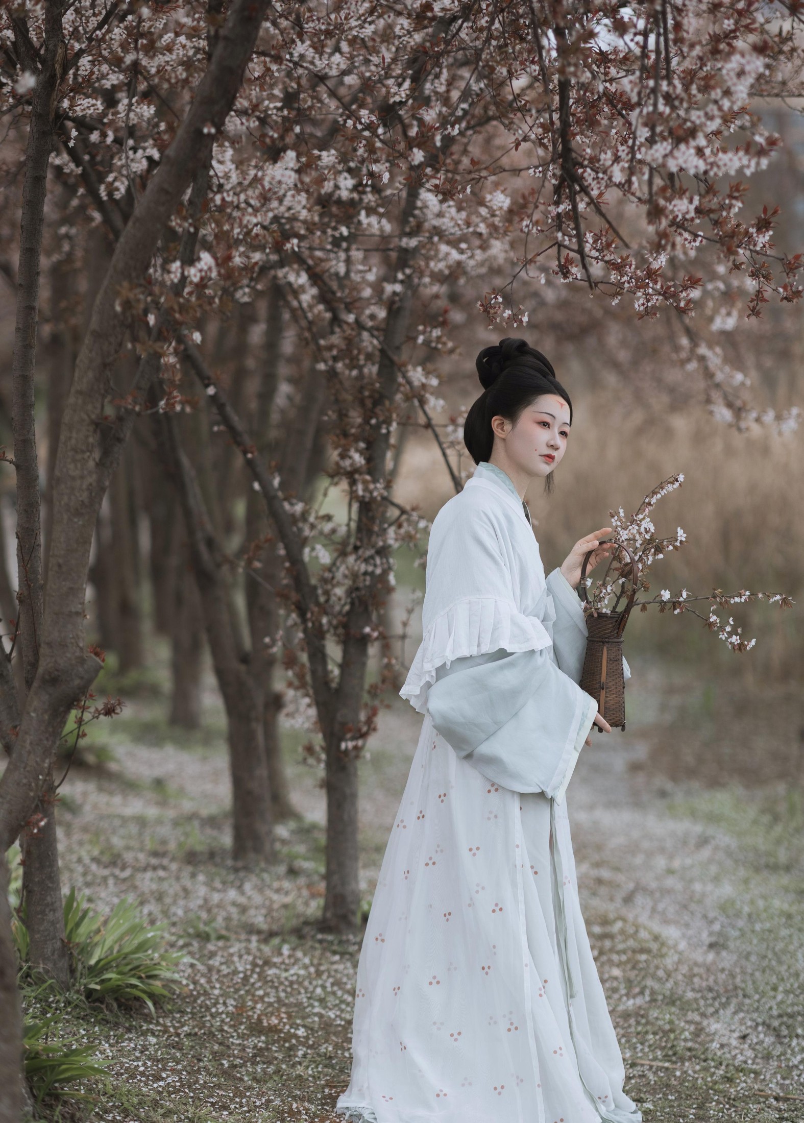 辞云镜 – 《探芳》[38P] 插图2