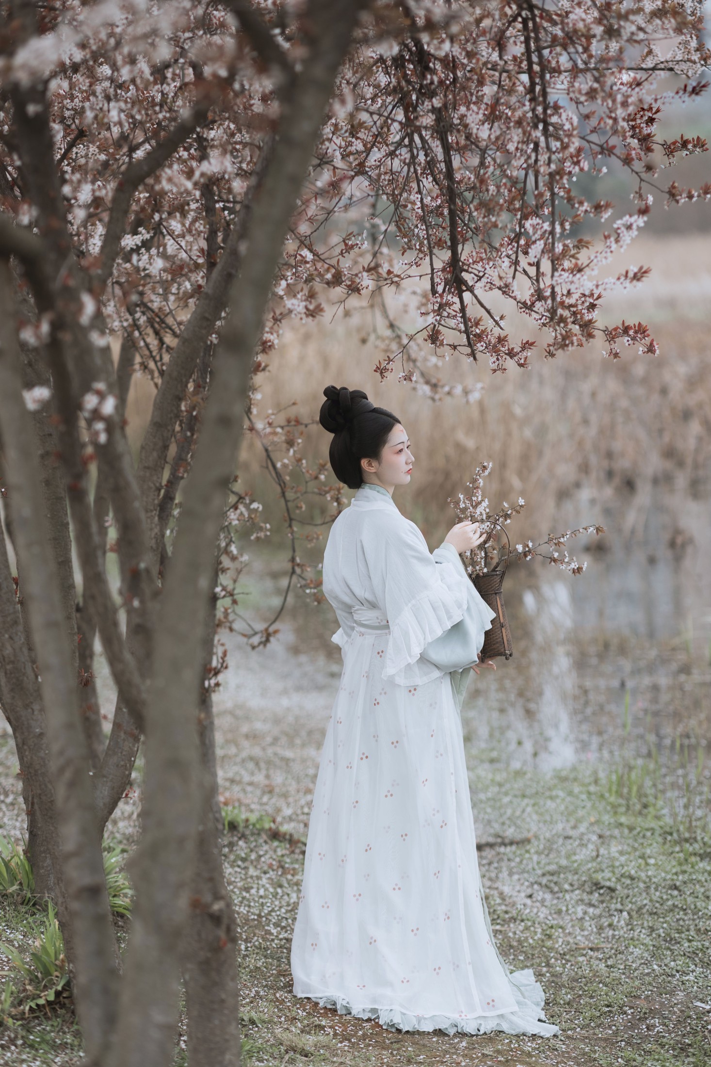 辞云镜 – 《探芳》[38P]-66COS